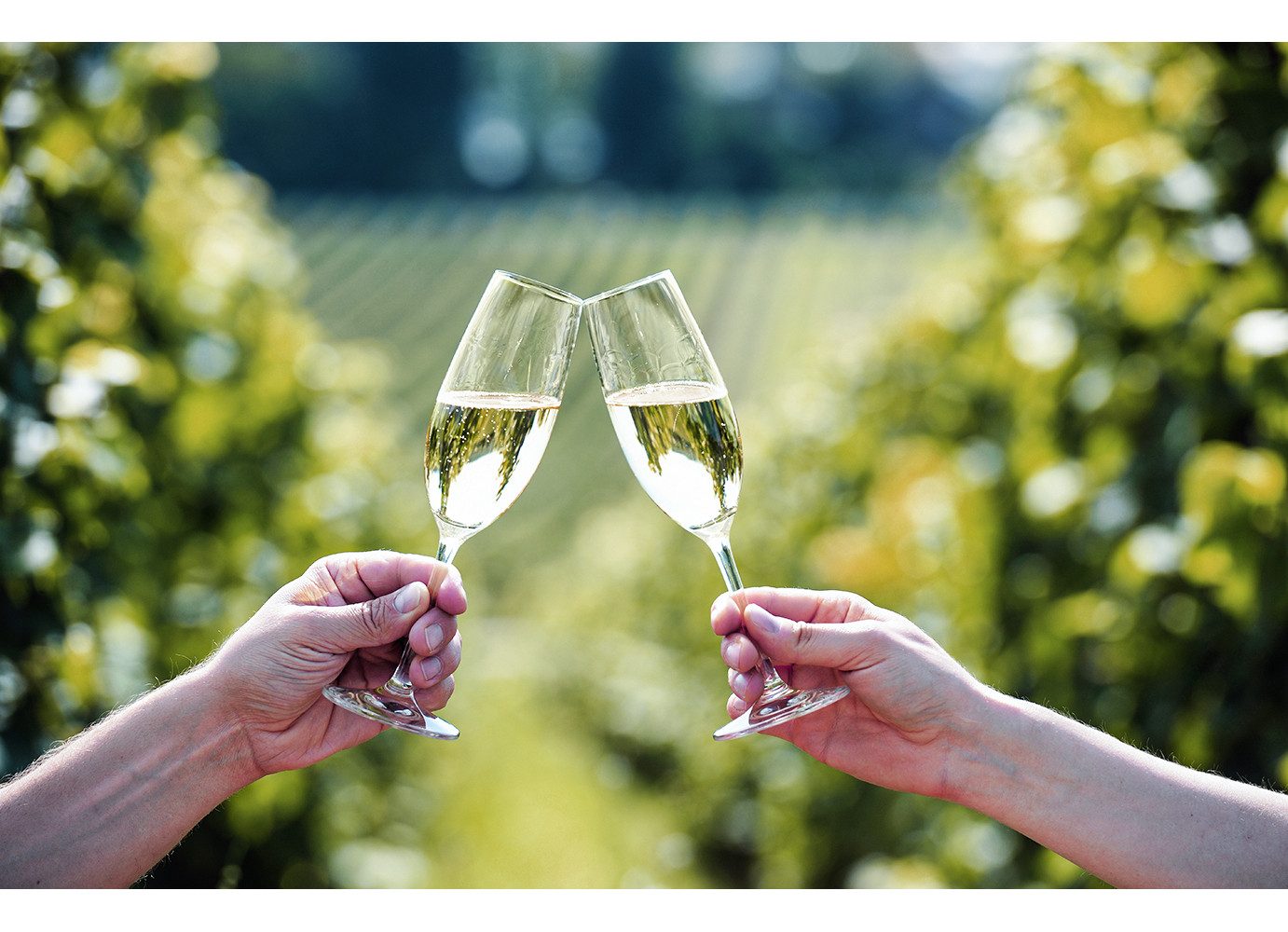 mydays Erlebnisgutschein Sektverkostung in Schriesheim, Der prickelnd, spritzige Genuss