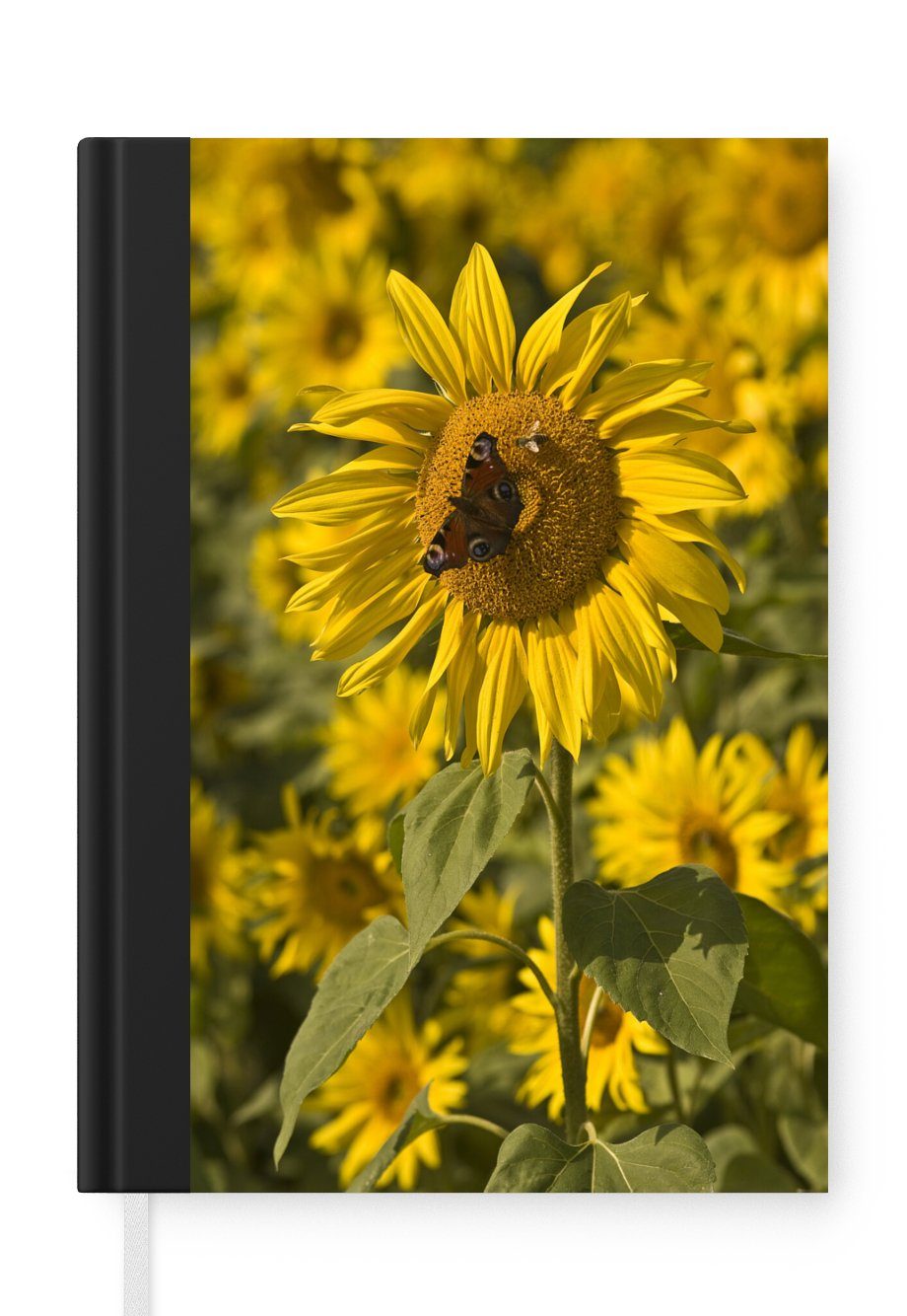 MuchoWow Notizbuch Tagpfauenauge Schmetterling auf einer Sonnenblume, Journal, Merkzettel, Tagebuch, Notizheft, A5, 98 Seiten, Haushaltsbuch