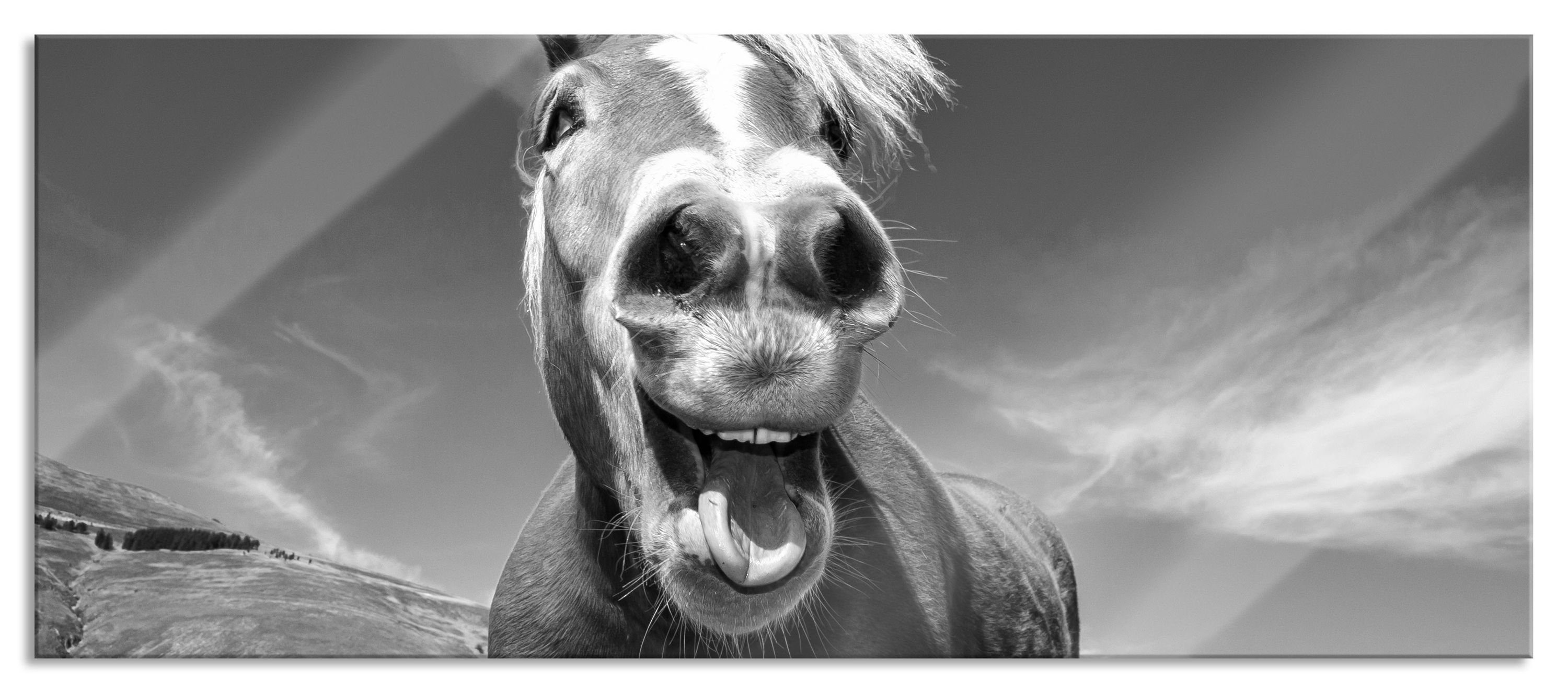 Pixxprint Glasbild Pferd in der Natur, Pferd in der Natur (1 St), Glasbild aus Echtglas, inkl. Aufhängungen und Abstandshalter