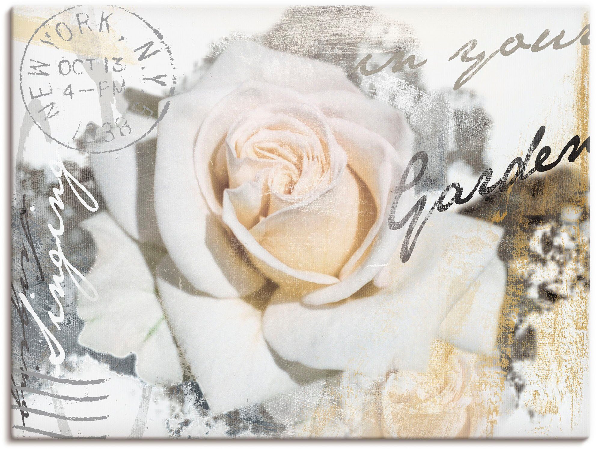 Artland Wandbild In Buchstaben - Rose, Blumen (1 St), als Leinwandbild, Poster, Wandaufkleber in verschied. Größen