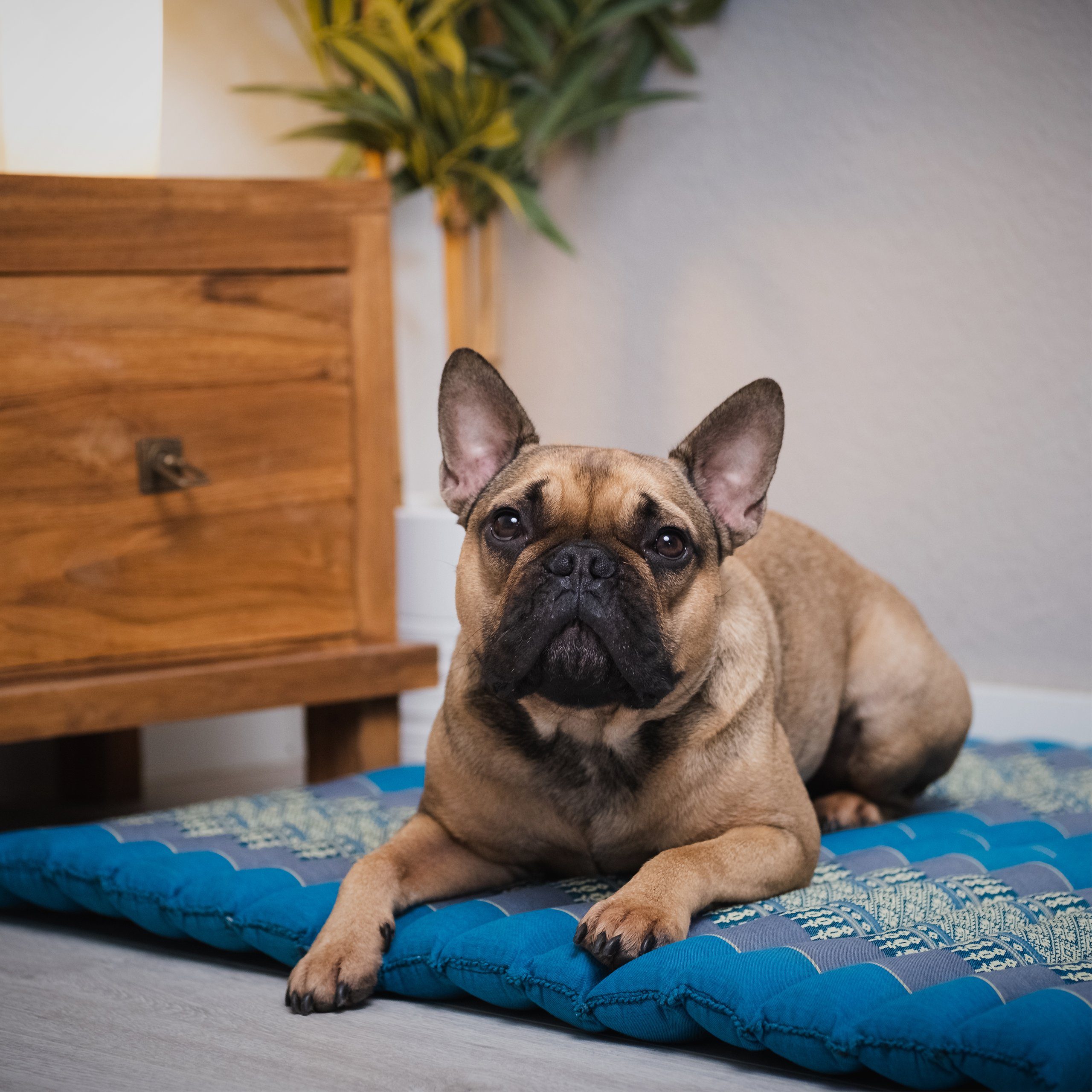 livasia Sitzkissen Steppkissen 75 cm, vegan und handgefertigt, 75x75x4,5cm, Kapok