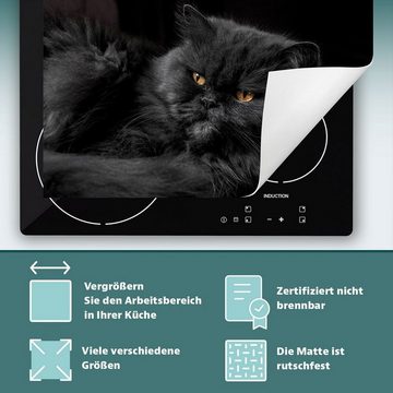 Decorwelt Herd-Abdeckplatte Herdabdeckplatte Kunststoff Aufrollbare Matte Küche Katze Schwarz, (30x52, 1 tlg), für alle Herdarten excl. Gasherde