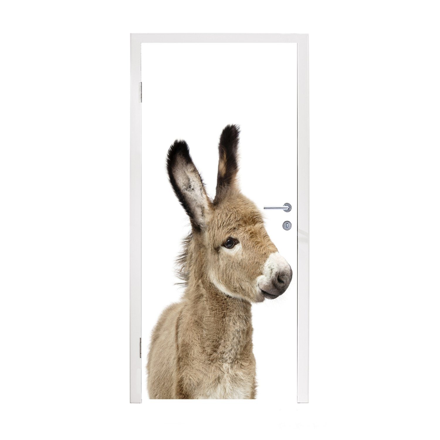MuchoWow Türtapete Esel - Braun - Tiere - Natur, Matt, bedruckt, (1 St), Fototapete für Tür, Türaufkleber, 75x205 cm