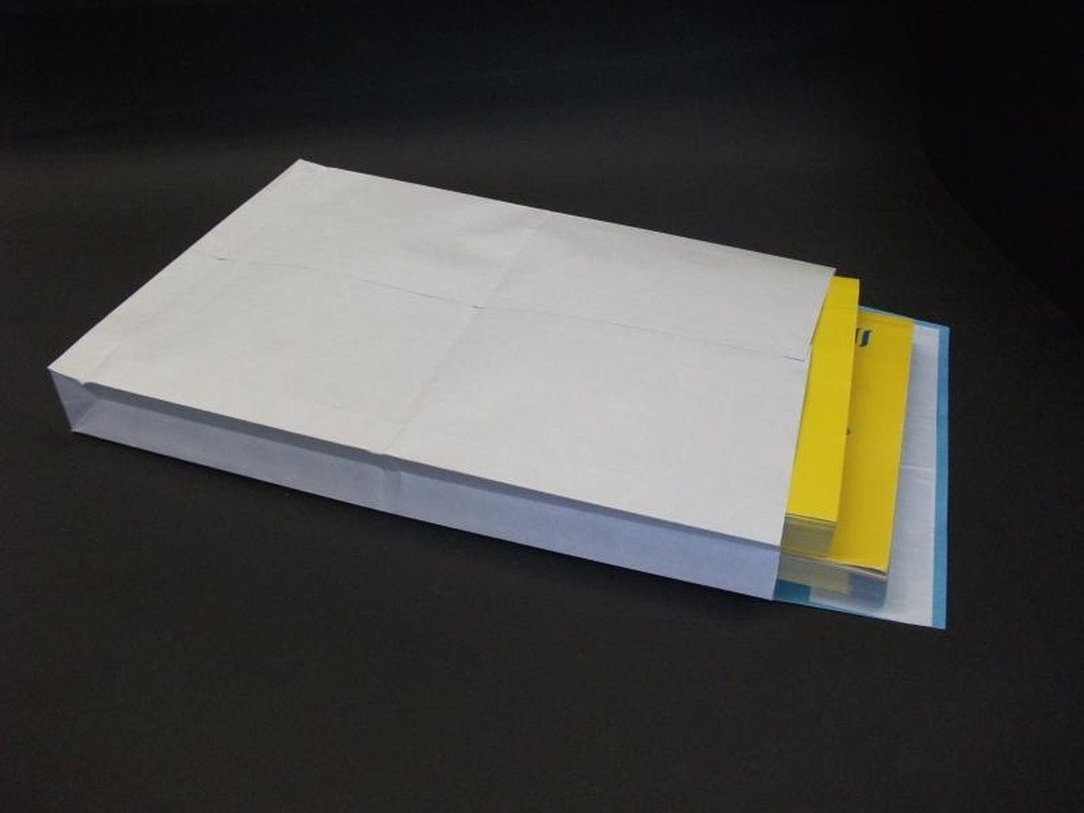 Blanke Briefhüllen Versandtasche Faltentaschen 250x353x40mm B4 130g/qm HK VE=250 Stück weiß/blau.