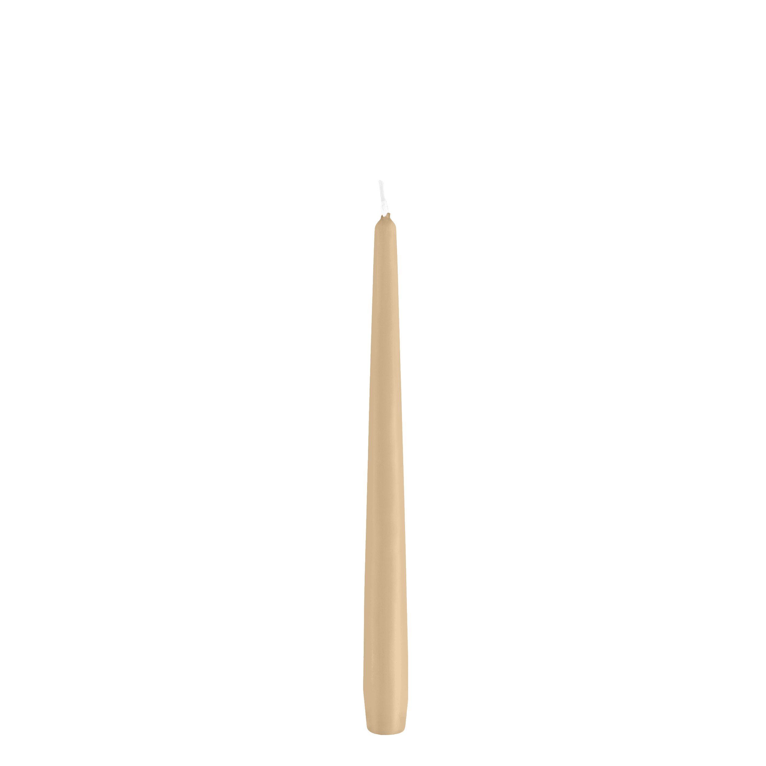 Spitzkerze Spitzkerzen Pinie 290 x Ø 23 mm, 12 Stück