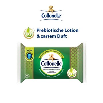 Cottonelle® Toilettenpapier Feuchtes Toilettenpapier Wohltuende Sauberkeit, prebiotisch, 12 x 38 (Vorratspack 12 x 38 Tücher), Toilettentücher