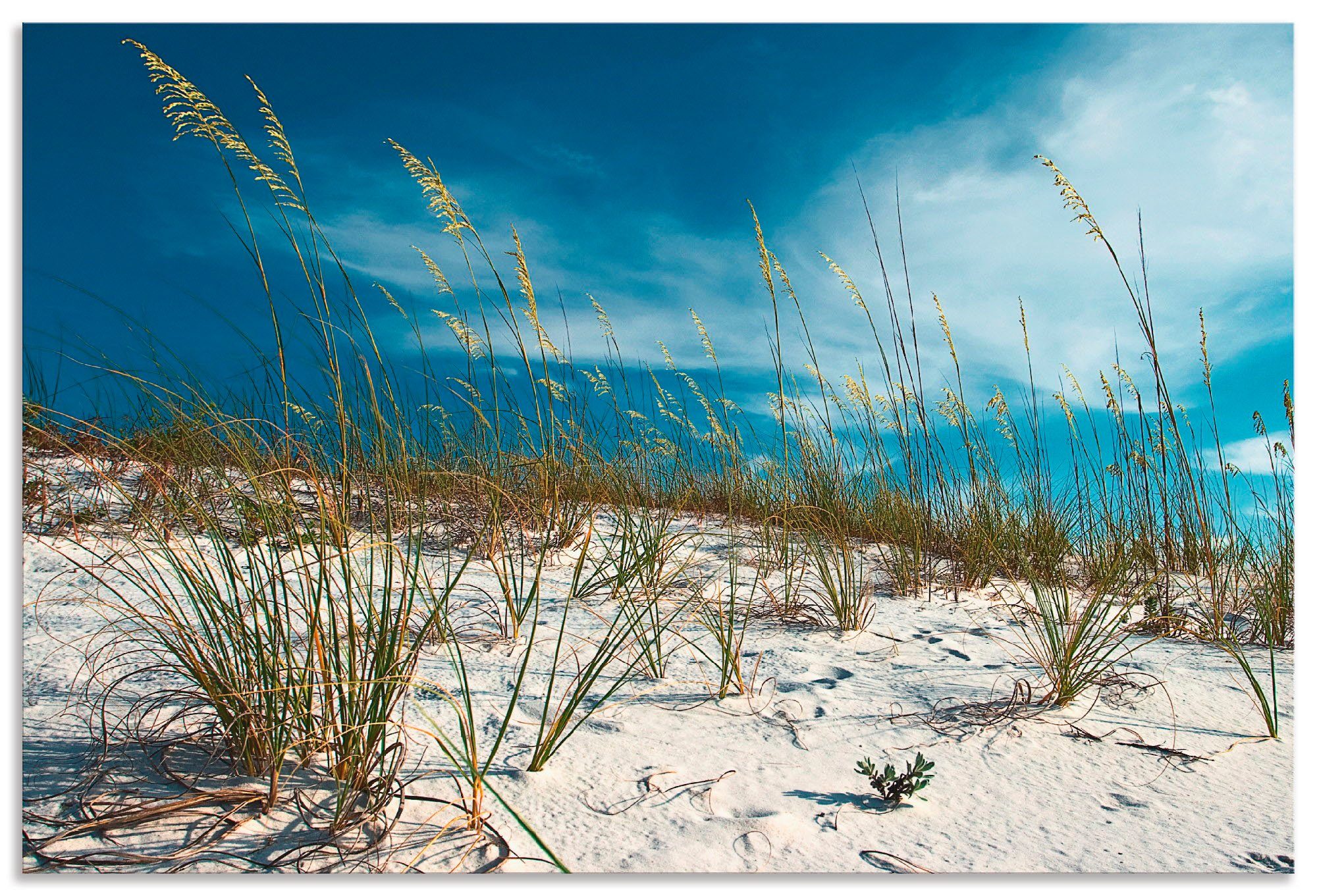 Artland Wandbild Sanddüne und Gräser, Strand (1 St), als Alubild, Leinwandbild, Wandaufkleber oder Poster in versch. Größen