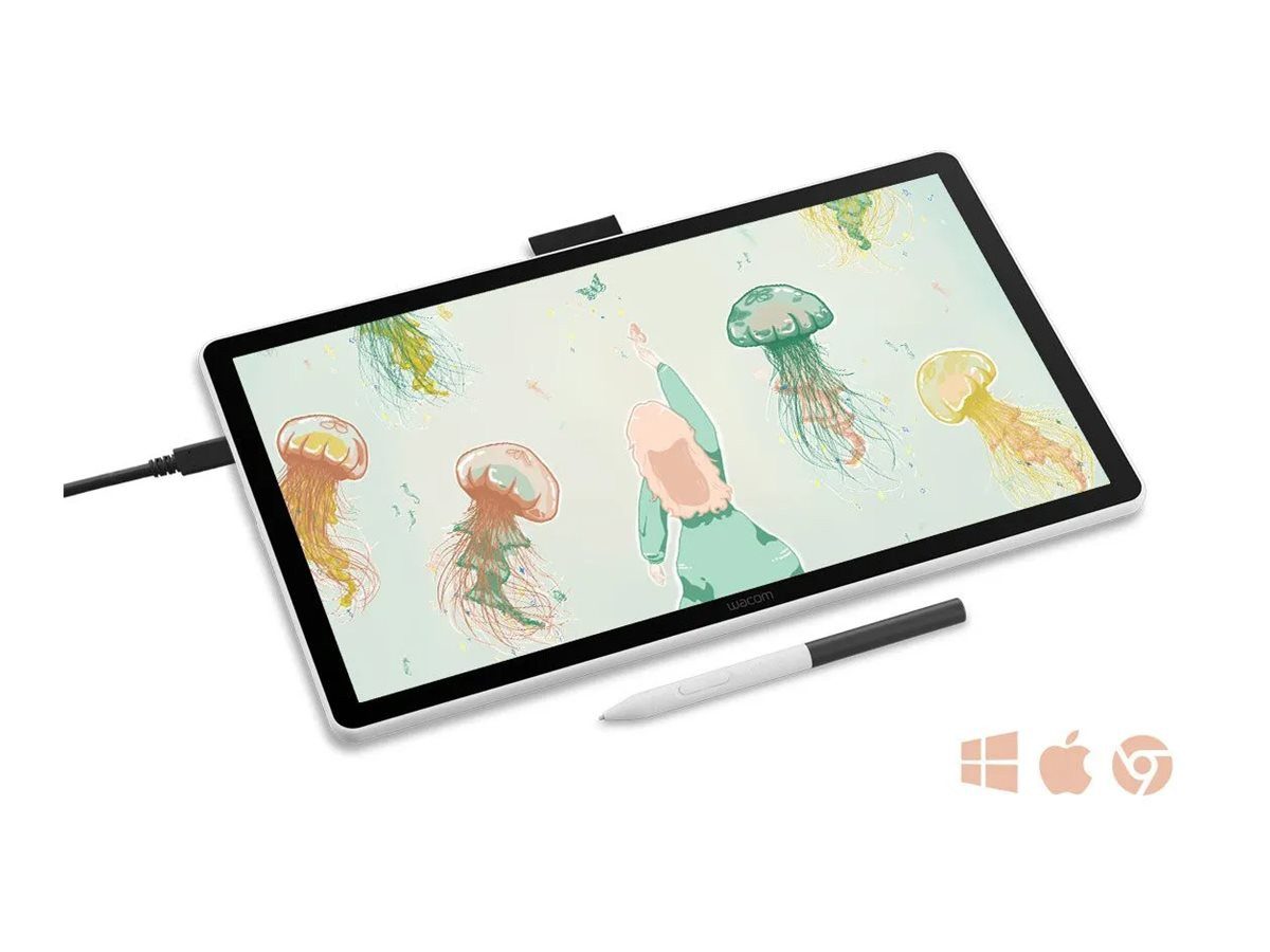 Wacom Eingabestift