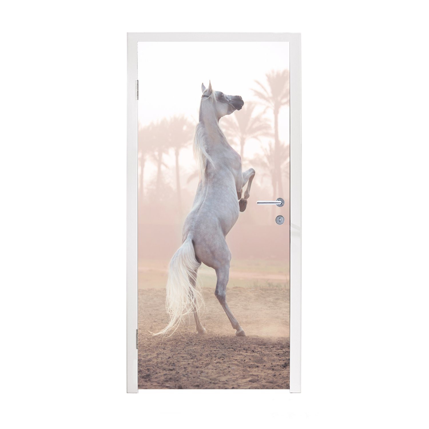 MuchoWow Türtapete Pferd - Sand - Palme, Matt, bedruckt, (1 St), Fototapete für Tür, Türaufkleber, 75x205 cm