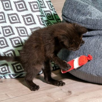 Karlie Tierkuscheltier Katzenspielzeug Textil Salami rot