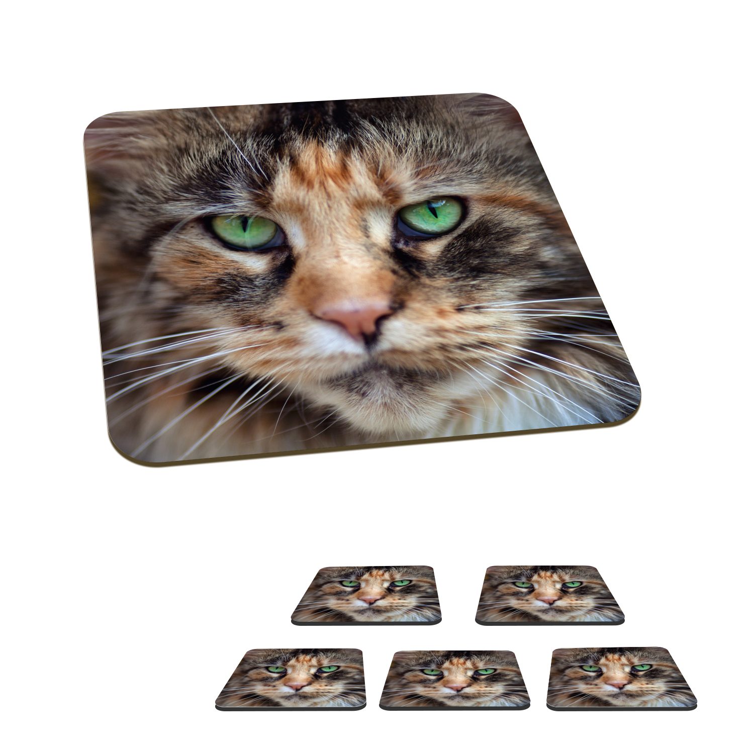 MuchoWow Glasuntersetzer Maine Coon Katze mit grünen Augen, Zubehör für Gläser, 6-tlg., Glasuntersetzer, Tischuntersetzer, Korkuntersetzer, Untersetzer, Tasse