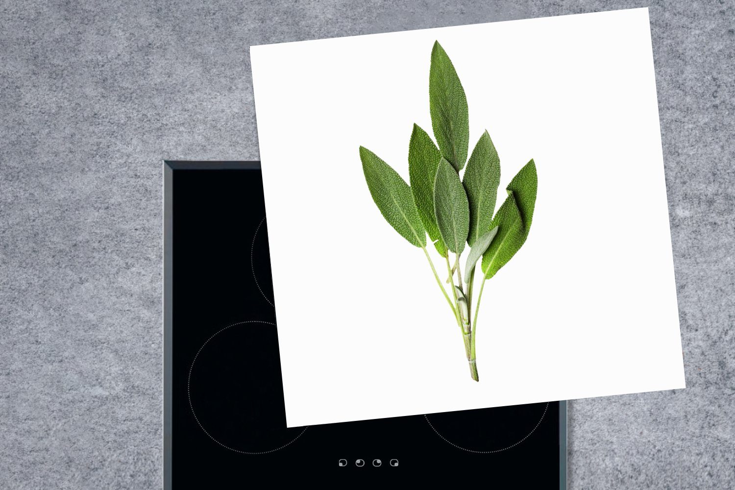 Vinyl, für cm, (1 Salbeipflanze, Porträt Arbeitsplatte Ceranfeldabdeckung, tlg), 78x78 MuchoWow küche einer Herdblende-/Abdeckplatte