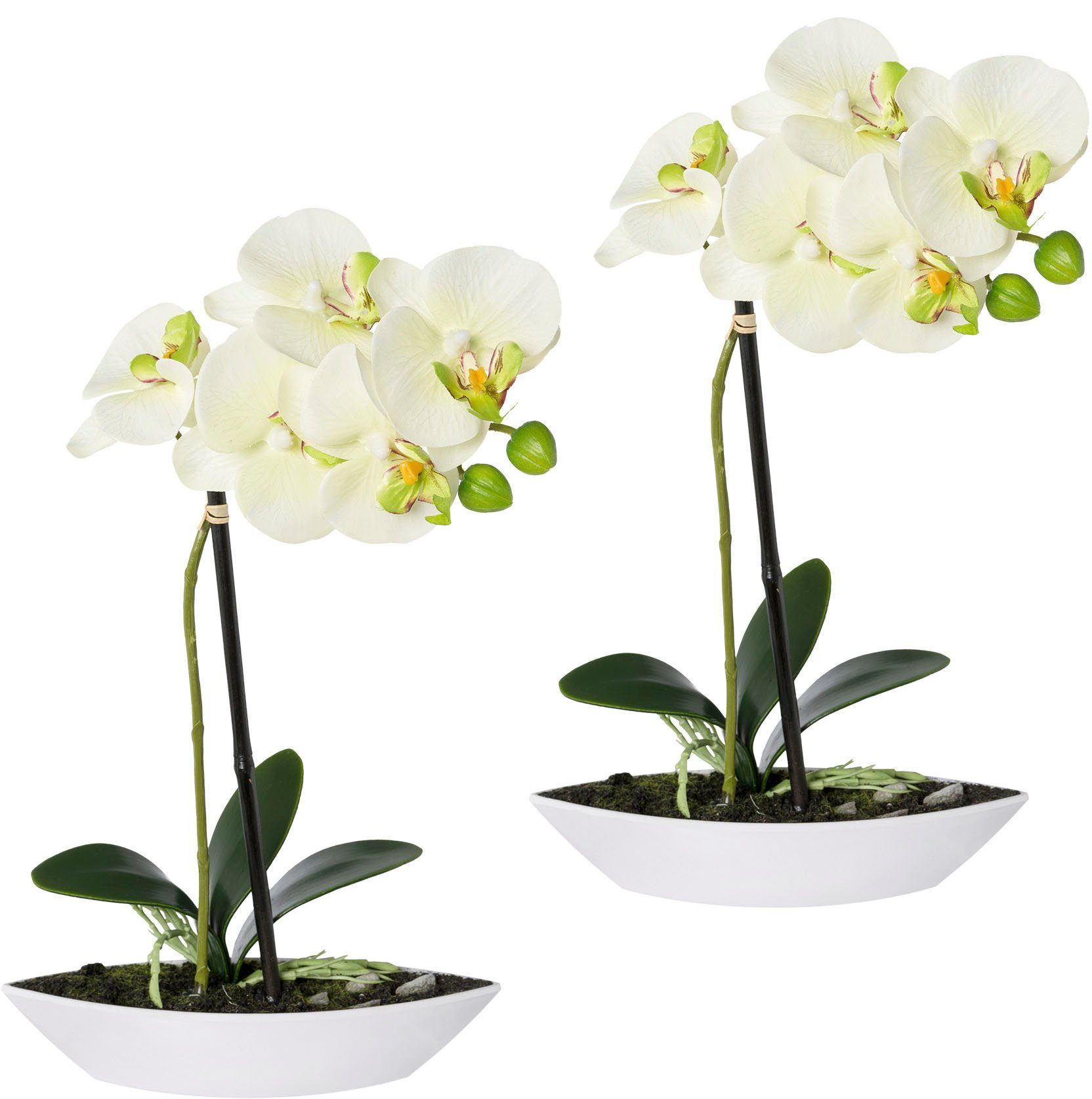 Phalaenopsis, Set, 30 Kunstorchidee Höhe green, Creativ 2er in cm, Kunststoffschale grün