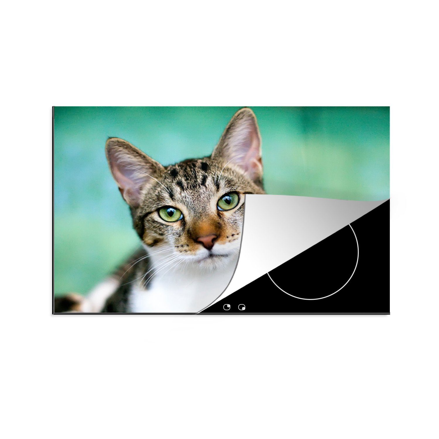 MuchoWow Herdblende-/Abdeckplatte Katze - Porträt - Augen, Vinyl, (1 tlg), 81x52 cm, Induktionskochfeld Schutz für die küche, Ceranfeldabdeckung