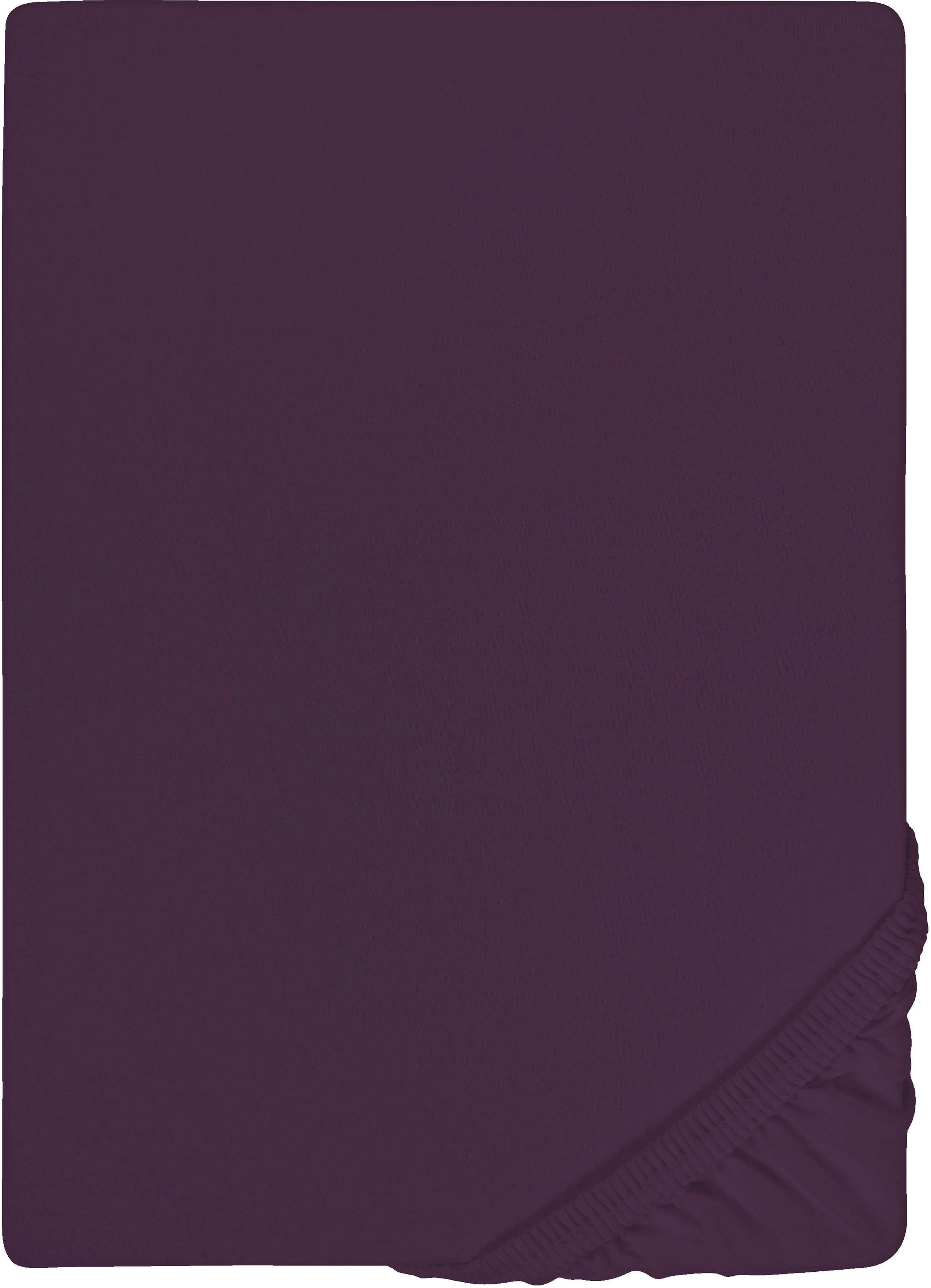 Biberna Spannbettlaken 0077866 Deluxe Jersey-Elastic Spannbetttuch 97% Baumwolle, Jersey-Elasthan, Gummizug: rundum, (1 Stück), Jersey mit Elasthan, Rundumgummi, bügelfrei, ab Größe 90 x 190 cm i