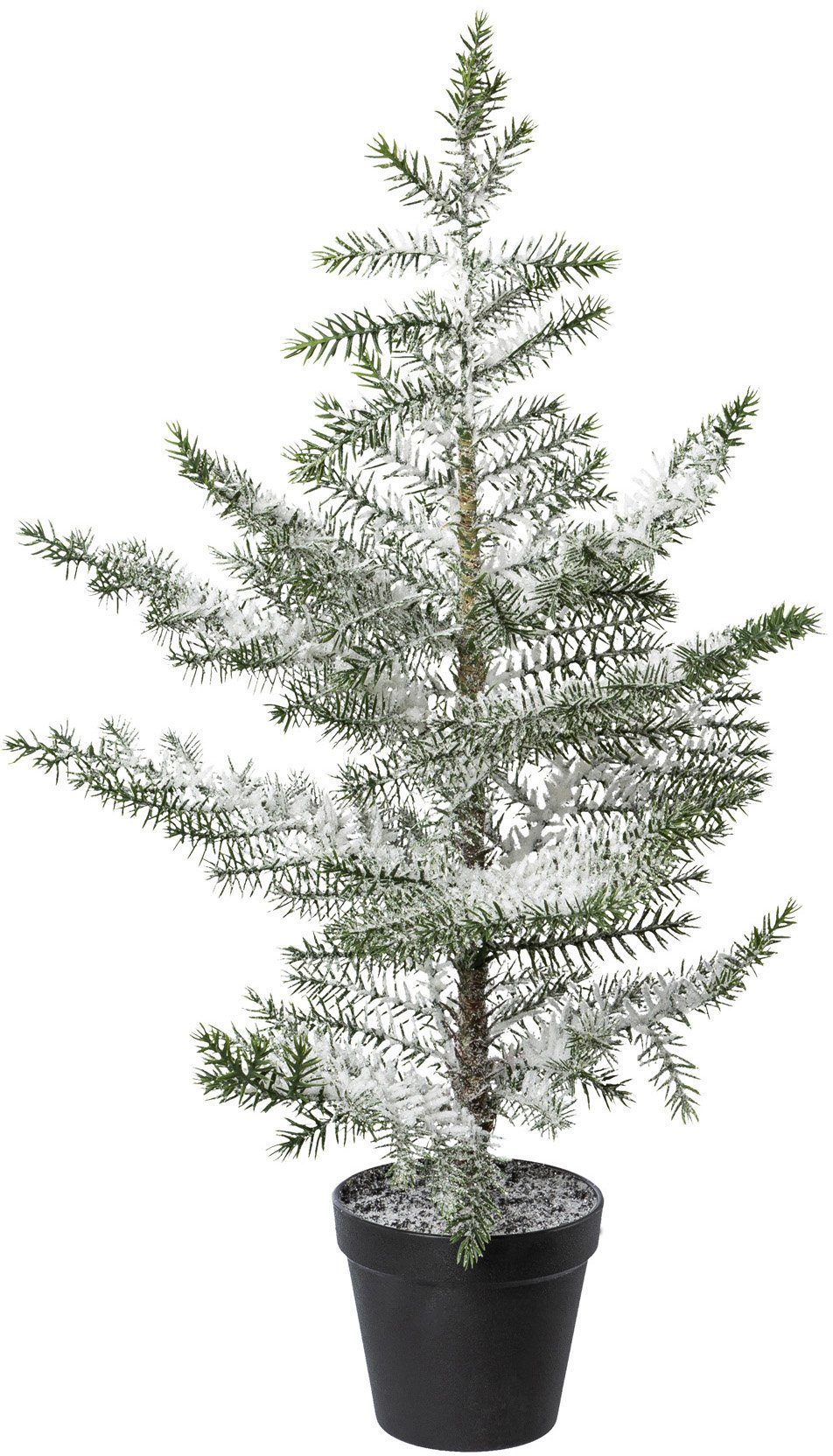 Tannenbaum »Zimmertanne im Topf«, beschneit, Höhe ca. 64 cm online