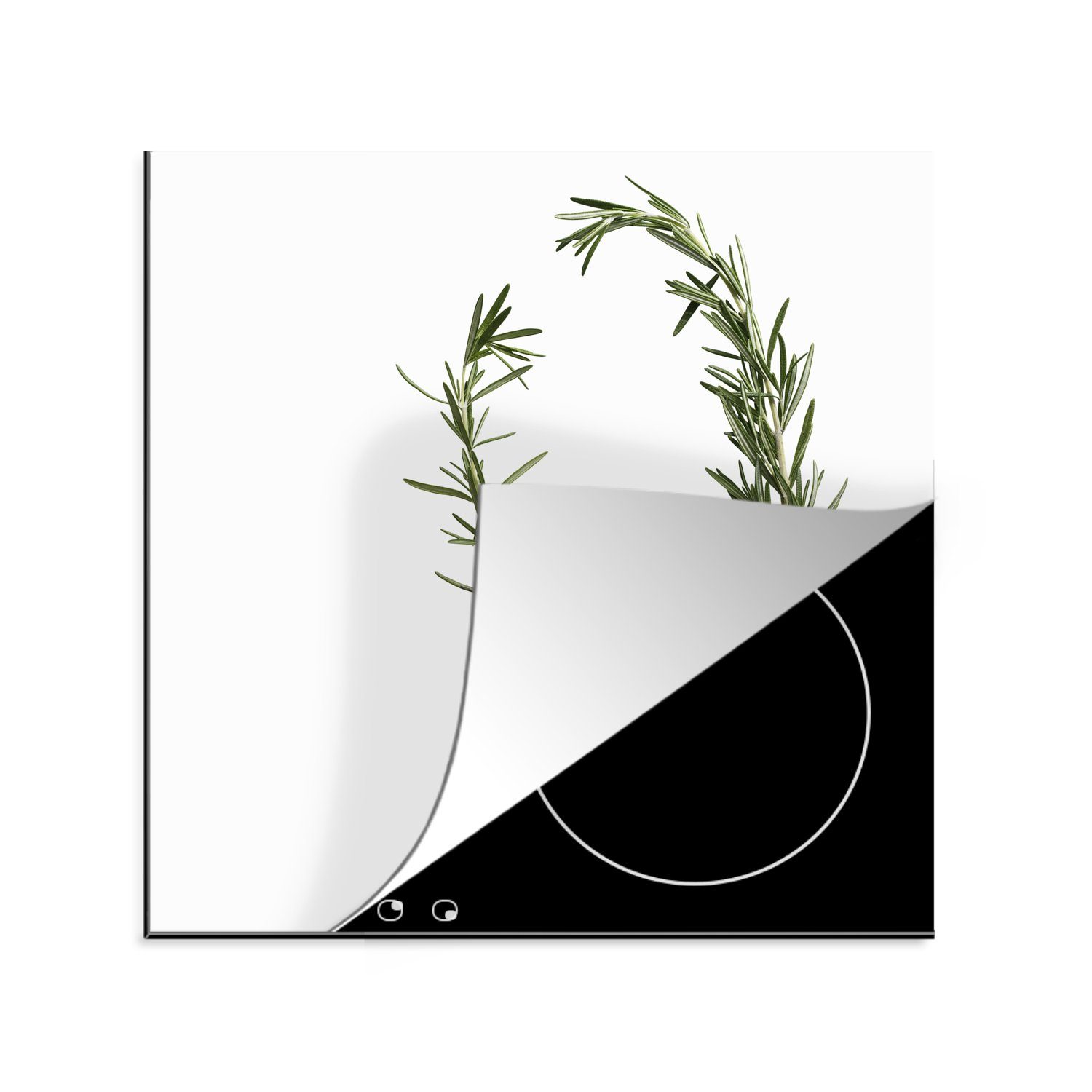 MuchoWow Herdblende-/Abdeckplatte Zwei Rosmarinzweige auf weißem Hintergrund, Vinyl, (1 tlg), 78x78 cm, Ceranfeldabdeckung, Arbeitsplatte für küche