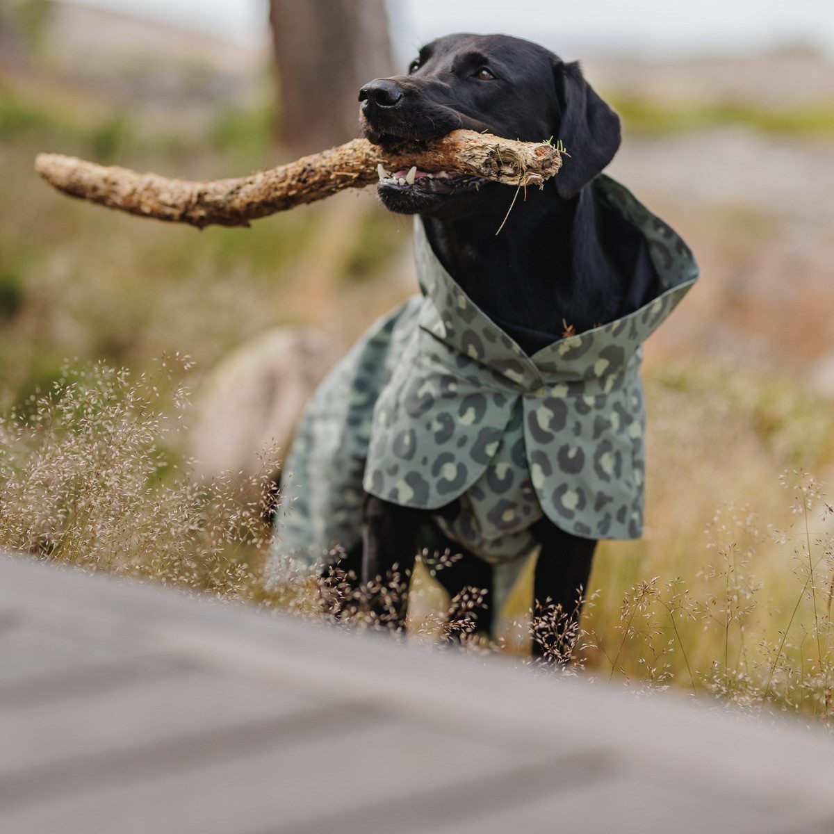 PAIKKA Hundemantel Hunde Winter-Jacke reflektierend "Visibility" green leo