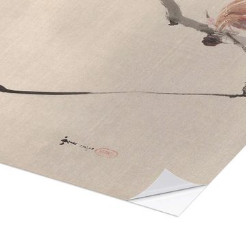 Posterlounge Wandfolie Watanabe Seitei, Vogel beobachtet eine Spinne, Malerei