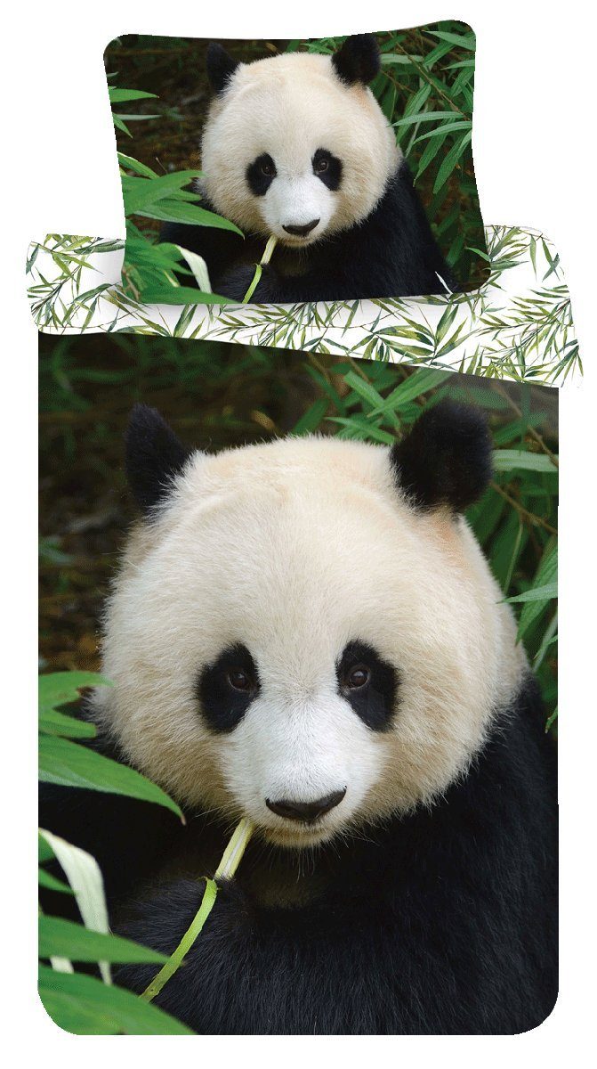 Panda Kinderbettwäsche Panda, Renforcé, 2 teilig