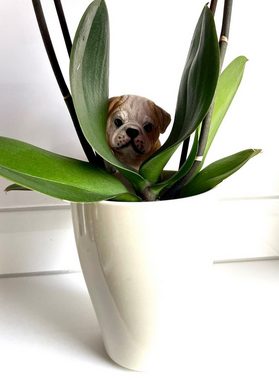 Fachhandel Plus Dekofigur Bulldogge hängend am Blumentopf