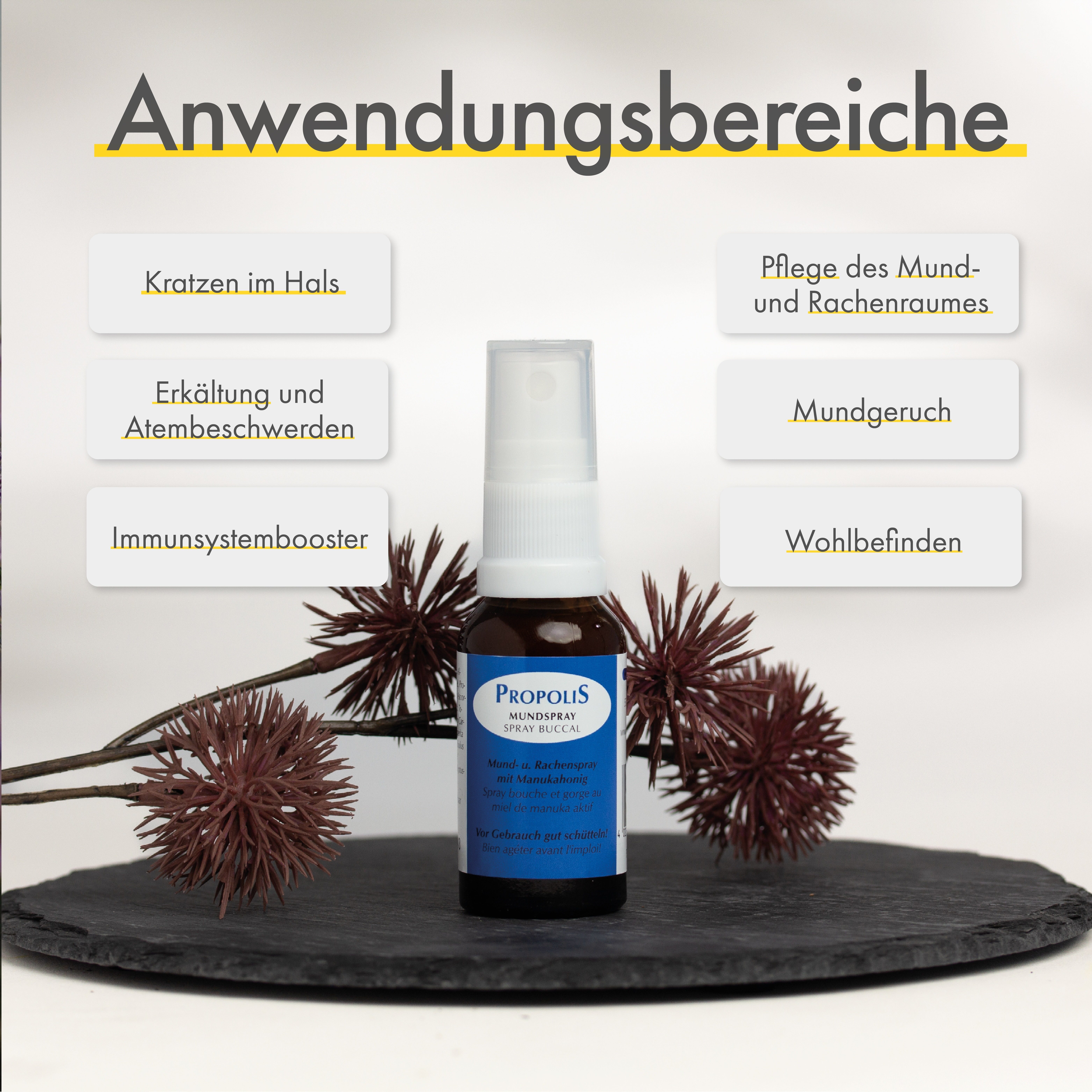 HC PRODUCTS Mundspray Propolis Spray mit Manuka Honig, Eucalyptus und Pfefferminz, Unterstützend bei Halssschmerzen, Atembeschwerden und Mundgeruch