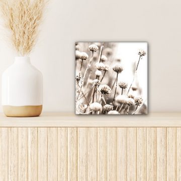 OneMillionCanvasses® Leinwandbild Blumen - Pflanzen - Stillleben - Natur, (1 St), Leinwand Bilder für Wohnzimmer Schlafzimmer, 20x20 cm