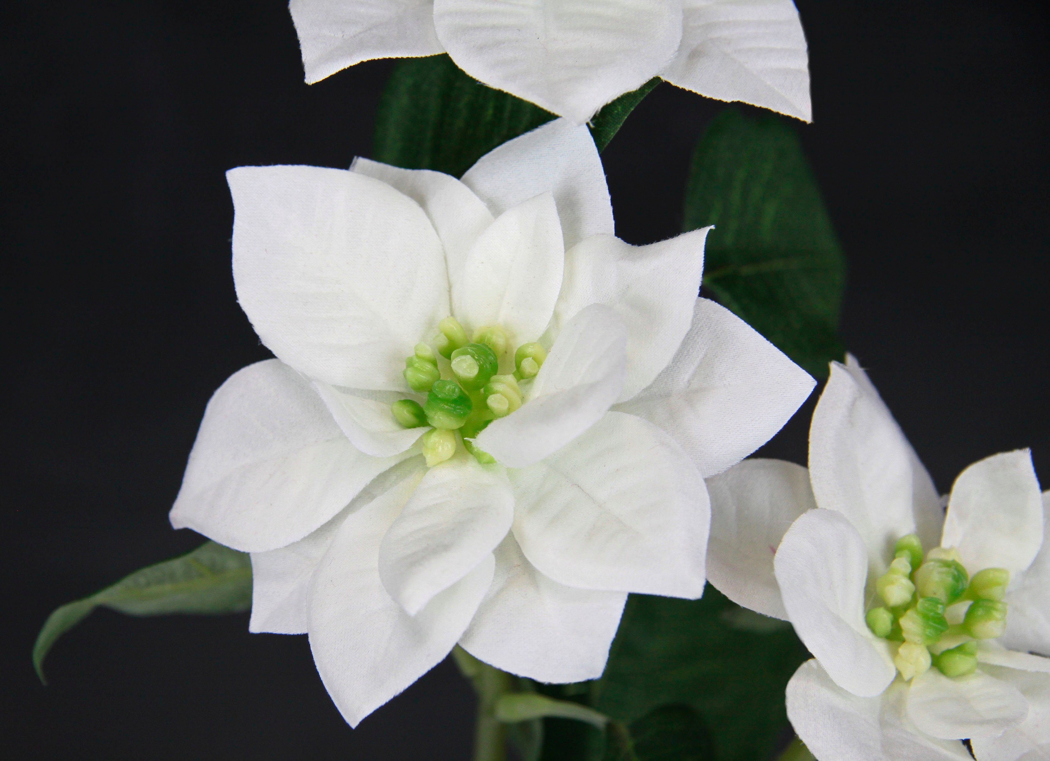 Kunstblume Poinsettie, I.GE.A., Höhe 28 cm, Künstlicher Poinsettiazweig, 5e günstig online kaufen