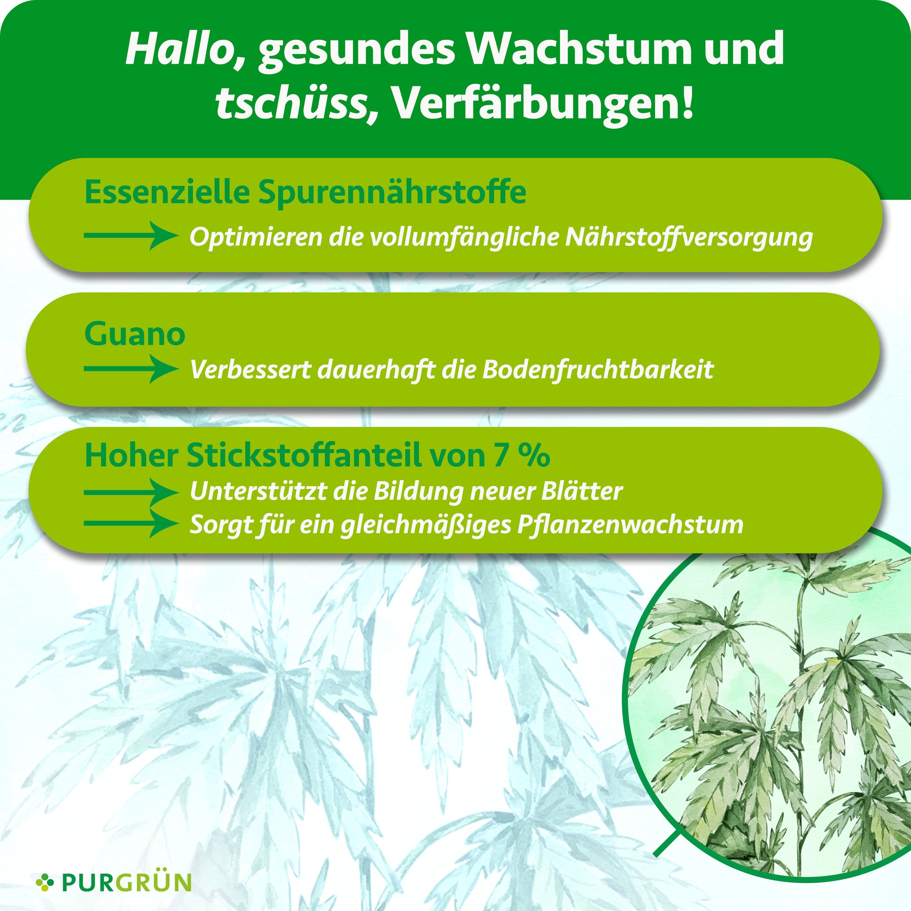 Purgrün Pflanzendünger Hybrid Grow Dünger, NPK 7+5+6, Indoor & Outdoor, 1L, Flüssigdünger, 1-St., 1 Liter