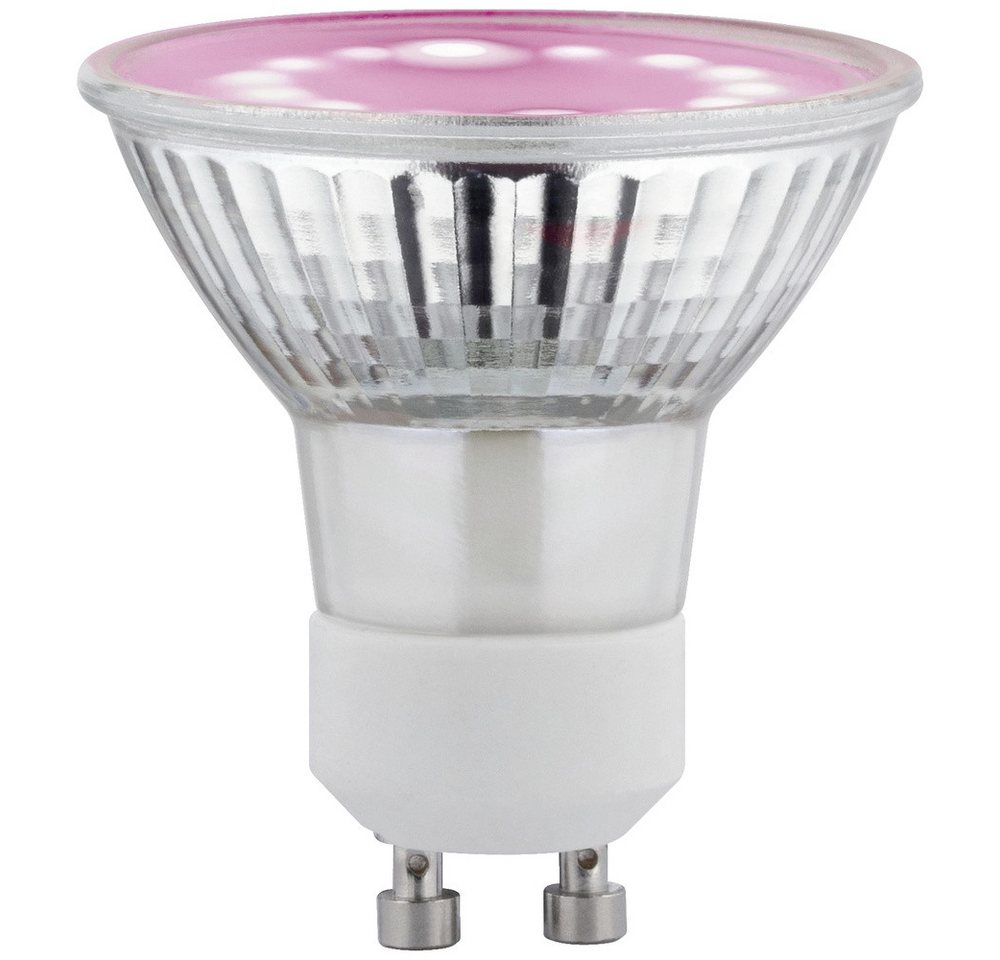 Paulmann Pflanzenlampe Paulmann LED-Pflanzenlampe Wachstum 230 V GU10 3.5 W Bernstein 1