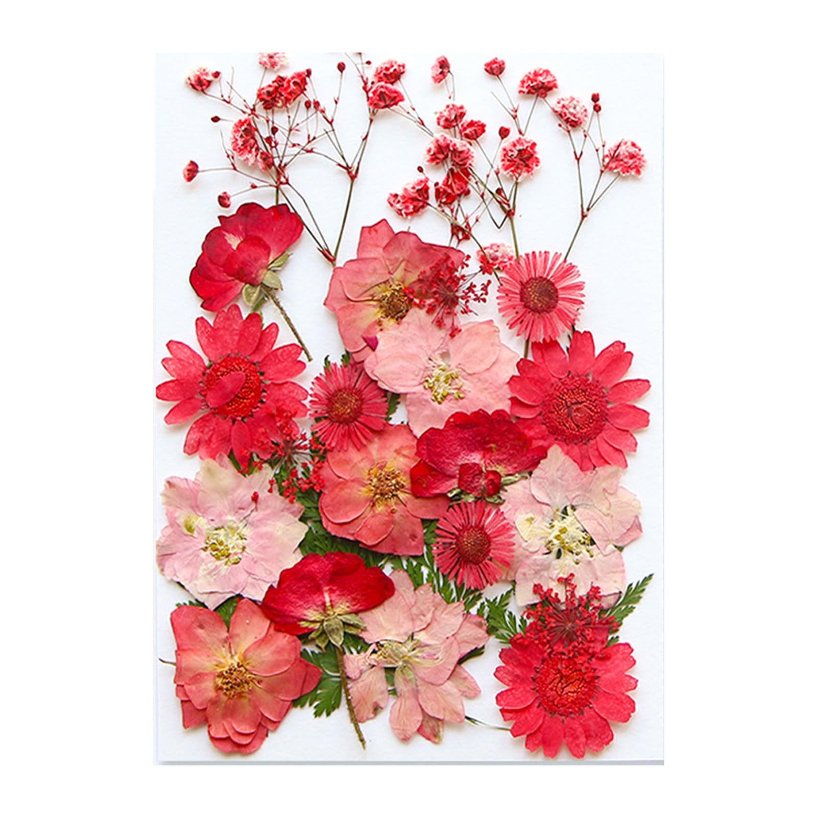 Trockenblume Getrocknete Blumen, Trockenblumen Zum Basteln, Klein Trockenblumen Set, Kaket, ​für Kunst DIY Harz Scrapbooking Handwerk Karten Machen