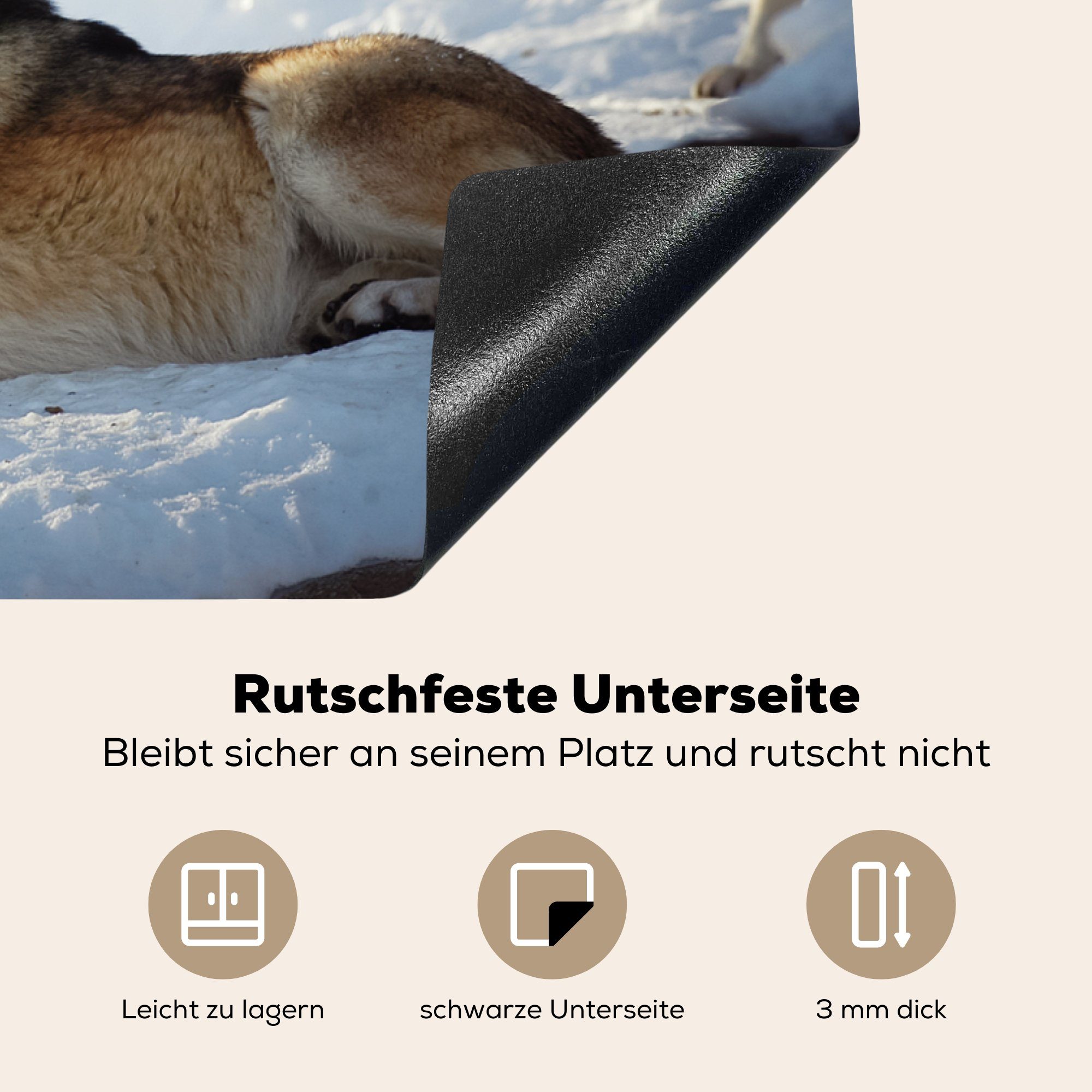 Schutz - MuchoWow 81x52 Wolf (1 tlg), Herdblende-/Abdeckplatte - Schnee Vinyl, die cm, für küche, Induktionskochfeld Ceranfeldabdeckung Wald,