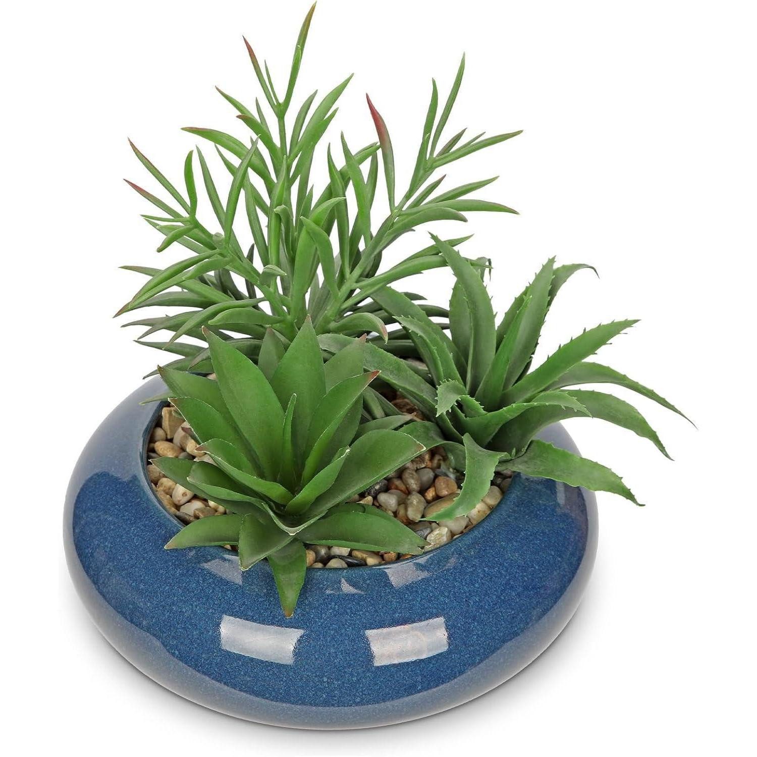 Künstliche Zimmerpflanze Kunstpflanze Sukkulente Keramiktopf 18cm Zimmerpflanze Blau, LuxusKollektion