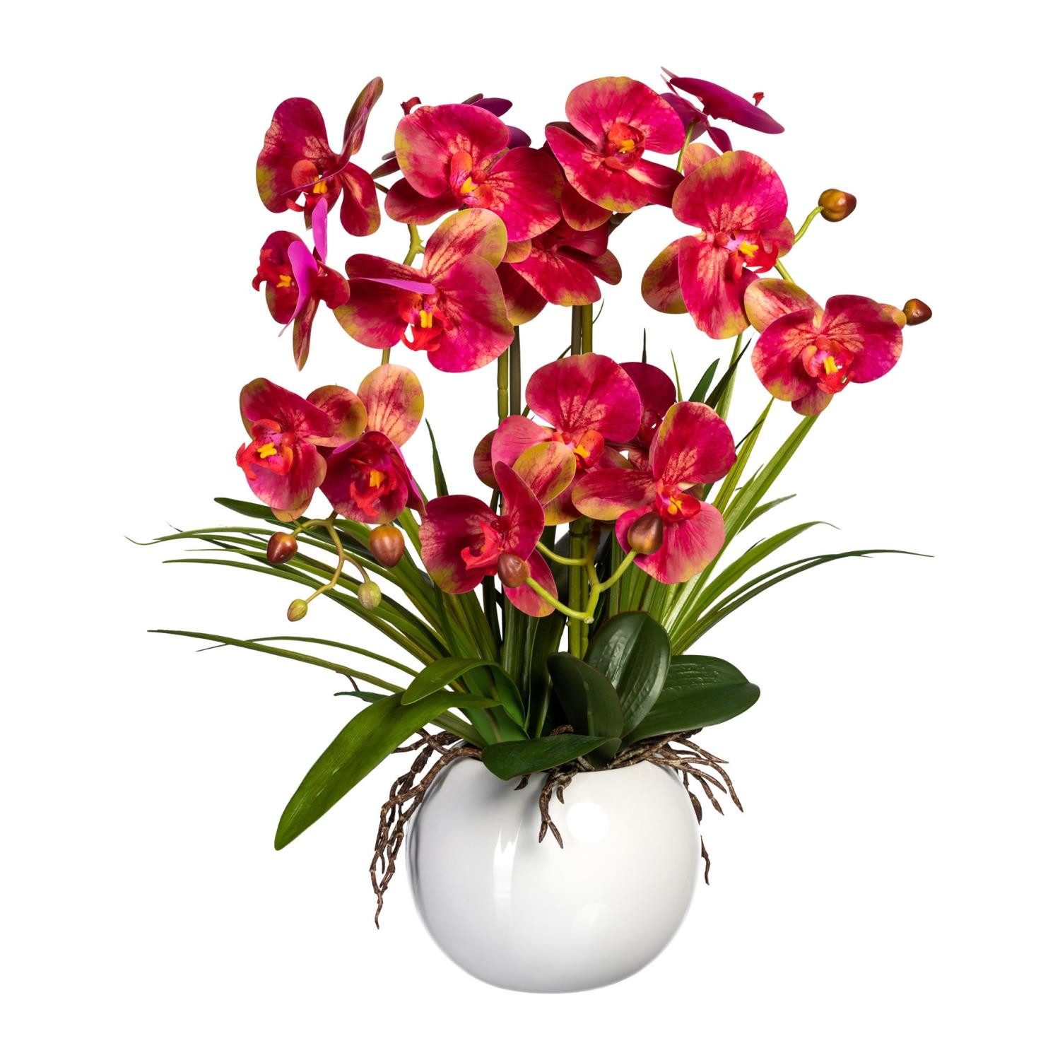 Gasper Kugelvase Pink, Durchmesser 1 cm, Im Topf, Pink, Motiv: Orchidee