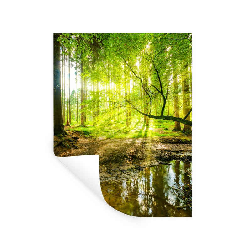 MuchoWow Wandsticker Wald - Landschaft - Wasser - Bäume - Sonne - Grün - Natur (1 St), Wandaufkleber, Wandtattoo, Selbstklebend, Wohnzimmer, Schlafzimmer