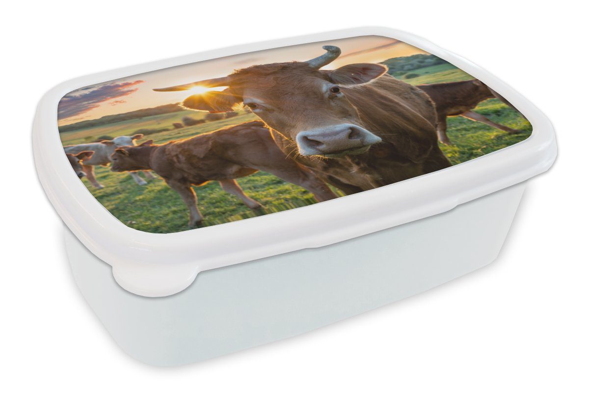 MuchoWow Lunchbox Kühe - Sonne - Wiese - Landleben, Kunststoff, (2-tlg), Brotbox für Kinder und Erwachsene, Brotdose, für Jungs und Mädchen weiß