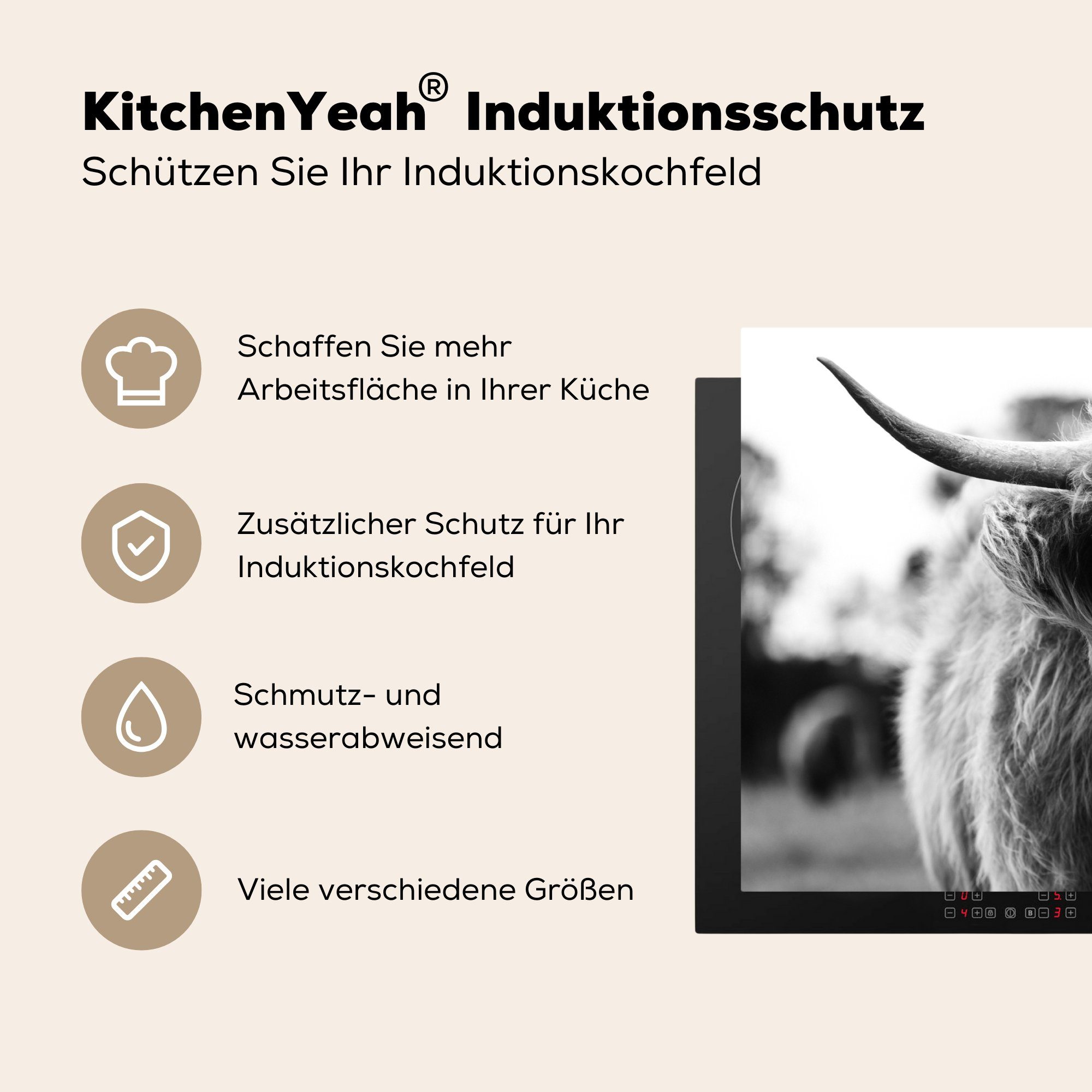 MuchoWow Herdblende-/Abdeckplatte Tiere Highlander tlg), Schottischer (1 - 83x51 - cm, Arbeitsplatte Gras Kuh - - Ceranfeldabdeckung, Natur, Vinyl, für küche
