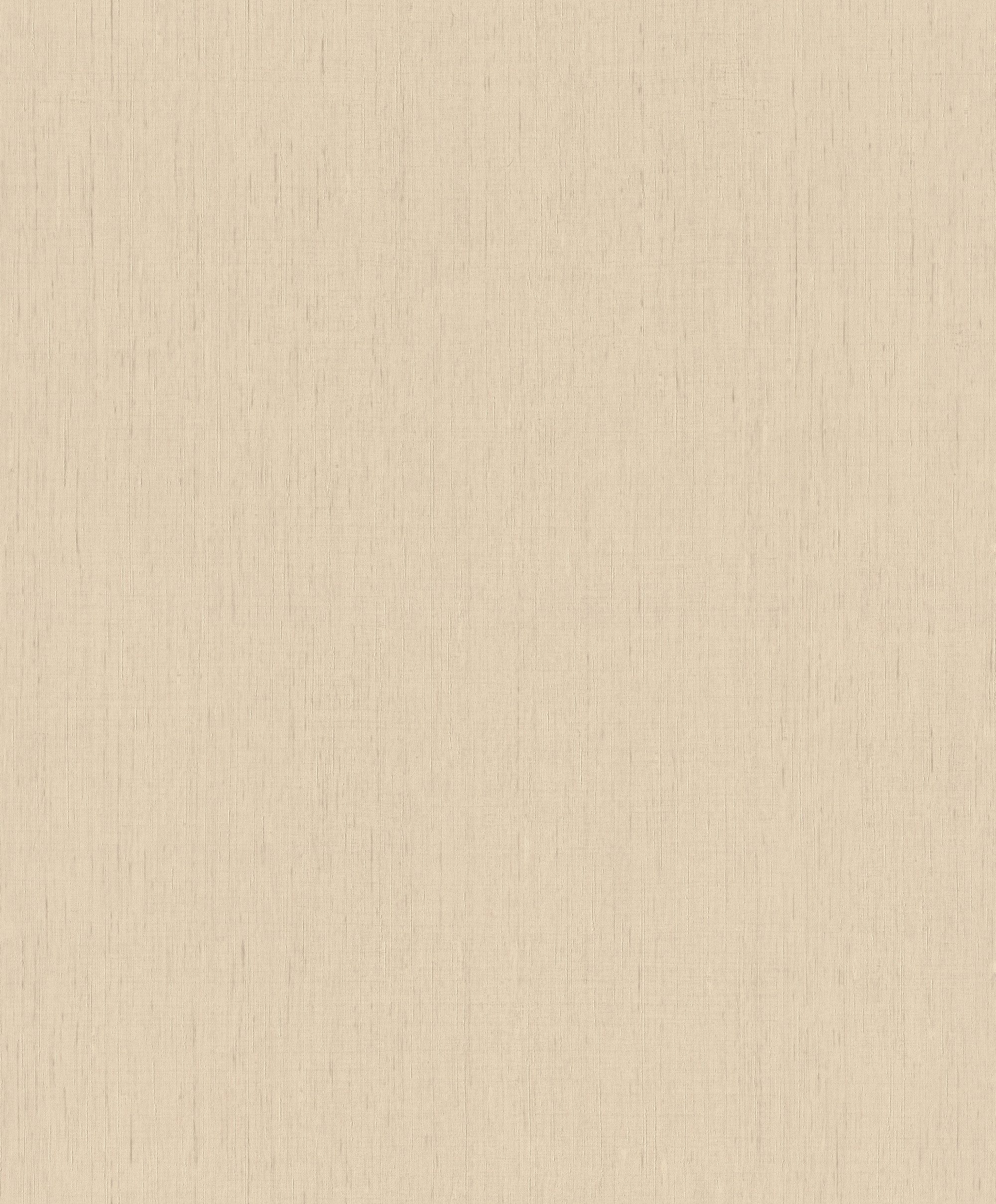 Rasch Vliestapete Vliestapete 746037 Beige-Dunkelbeige Uni 10,05 m x 0,53 m