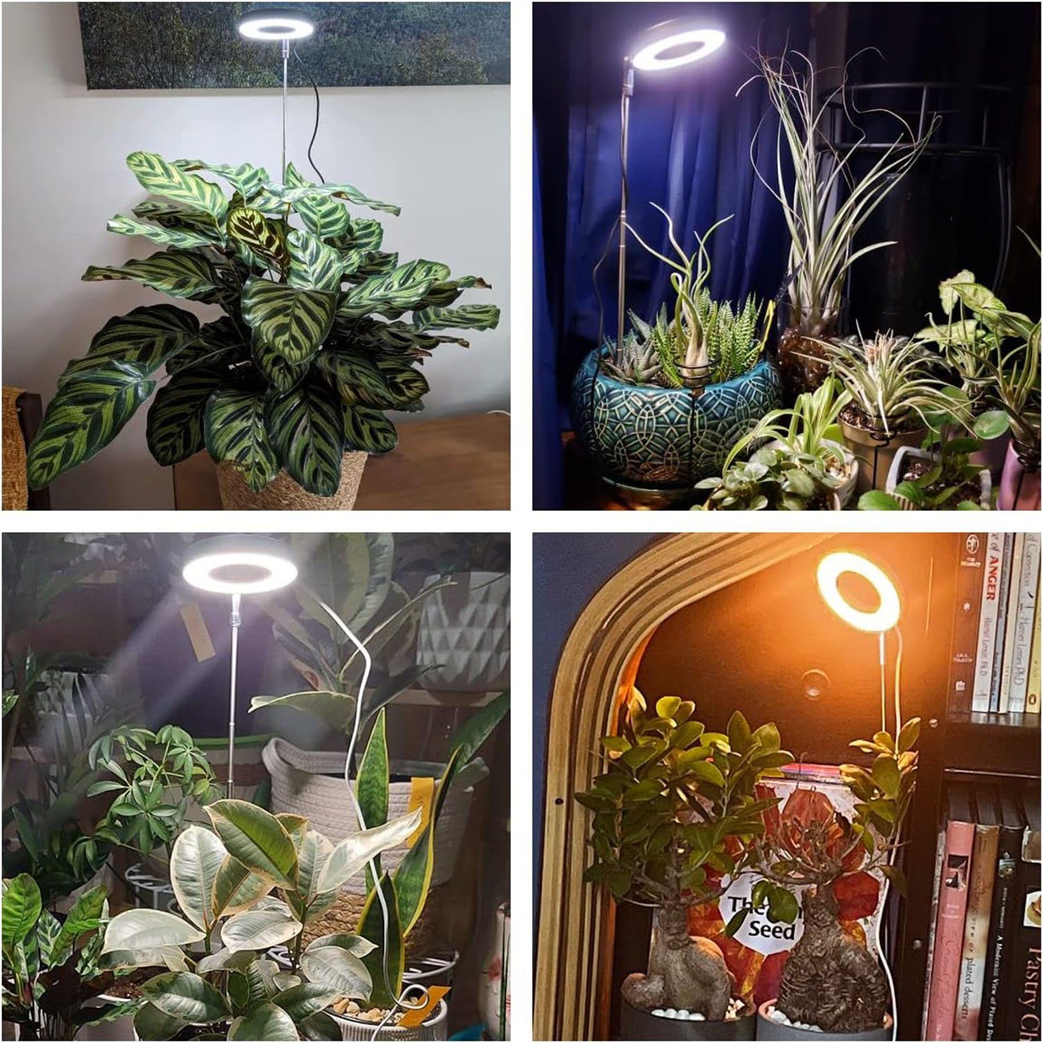 MUPOO Pflanzenlampe LED Pflanzenleuchte USB Timer Pflanzenlampe 42 LEDs Grow Lamp, Einstellbare Höhe 6.5-63.5 cm, Einstellbare Höhe Vollspektrum für Zimmerpflanzen,Sonnenlicht