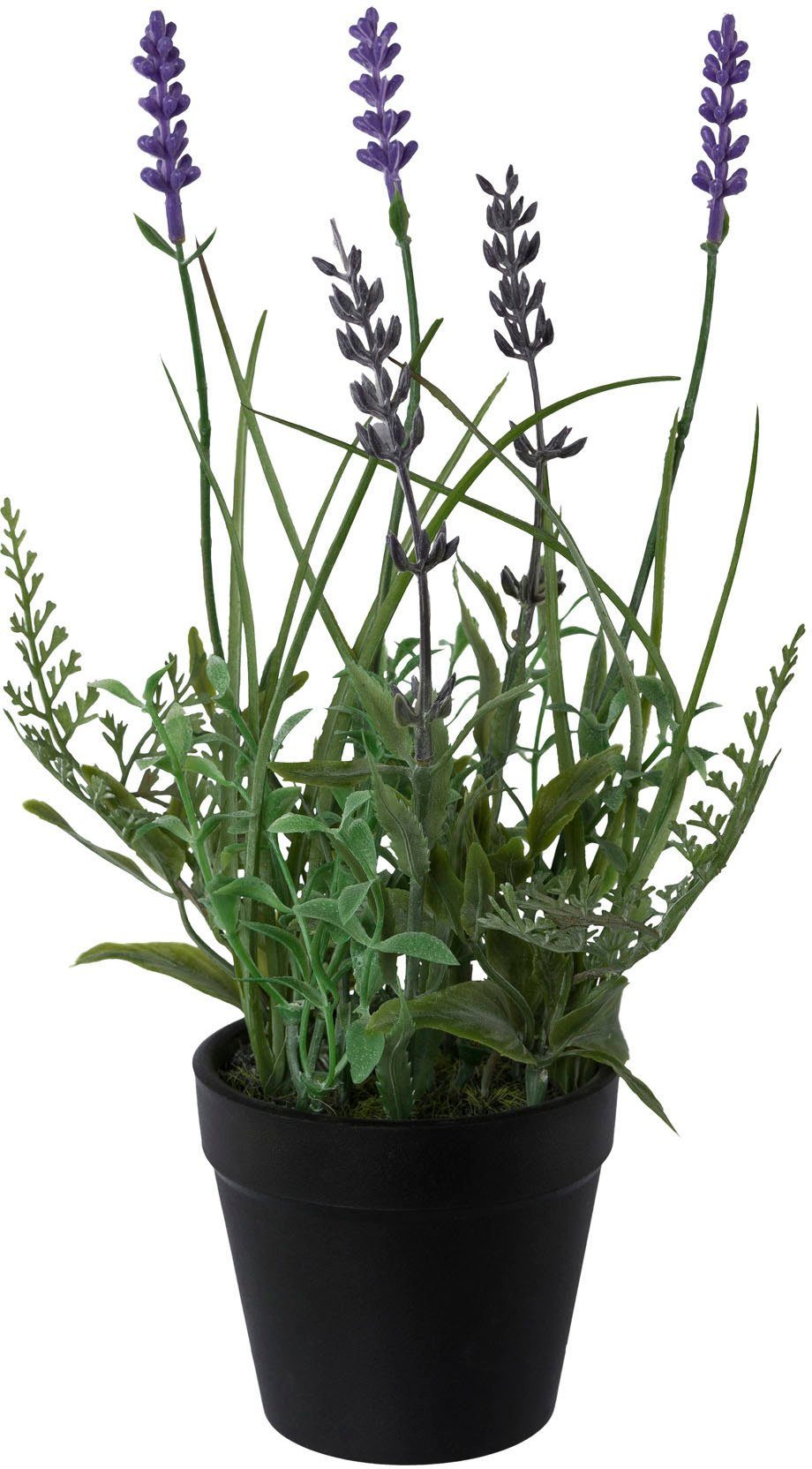 Kunstpflanze Lavendel, Creativ green, Höhe 25 günstig online kaufen