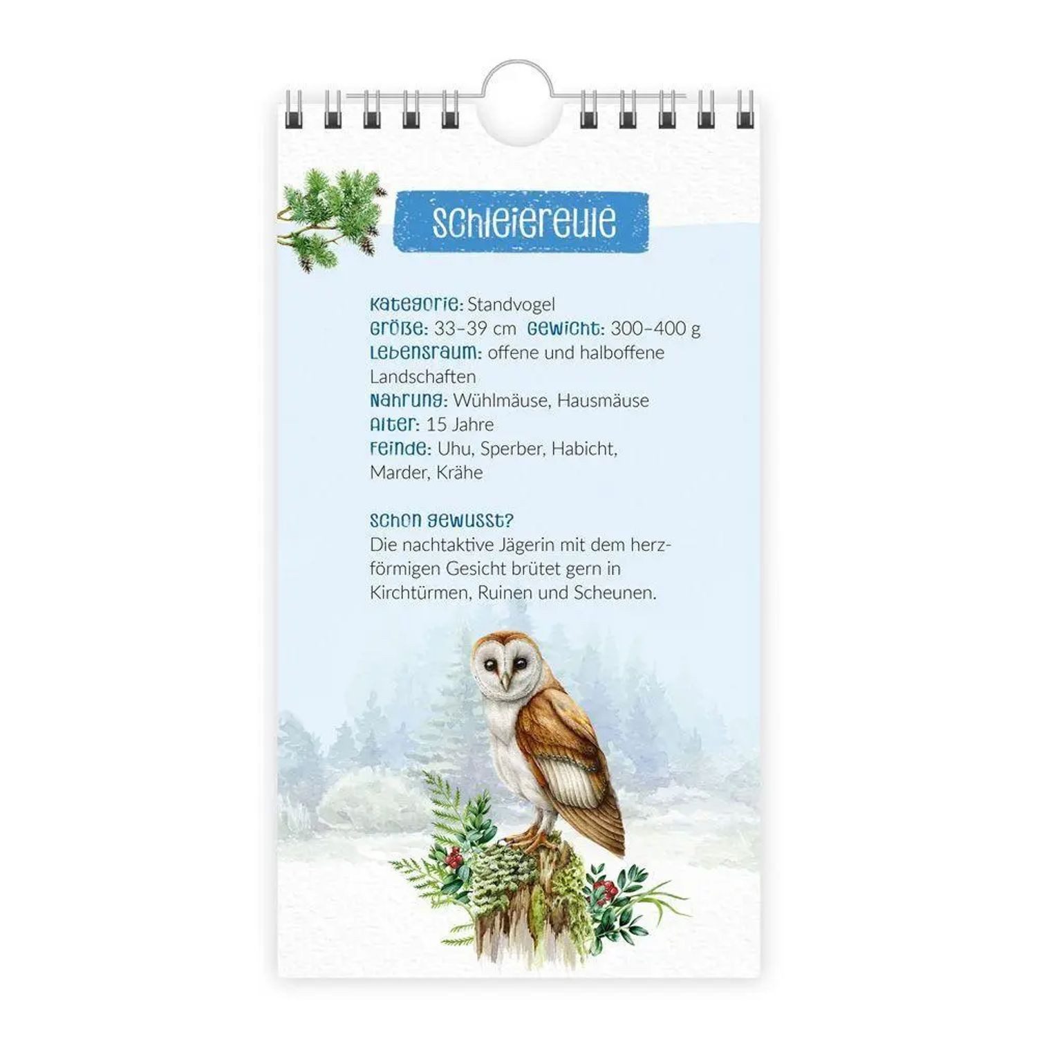 Trötsch Verlag Wandkalender Trötsch Geburtstagskalender Unsere Vogelwelt