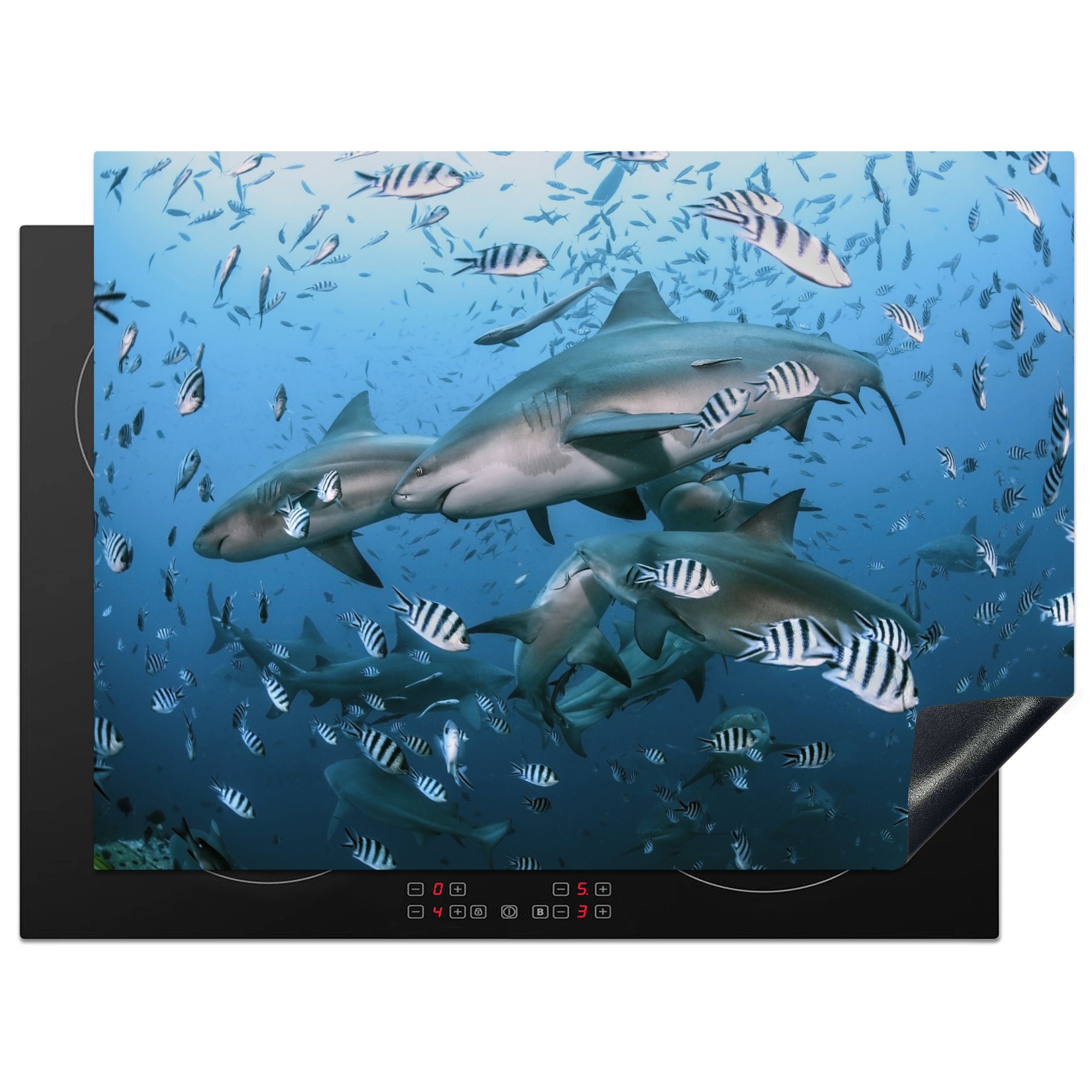 (1 die im vor MuchoWow Fidschi, 71x52 Herdblende-/Abdeckplatte für Meer Schutz küche, von Induktionskochfeld Gruppe Ceranfeldabdeckung Bullenhaien tlg), cm, Vinyl,