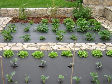 HaGa Unkrautvlies HaGa® Gartenvlies (Meterware) Unkrautvlies für Gemüsebeet 50g/m² in, Wasserdurchlässiges Pflanzenvlies - Unkrautschutz im Garten