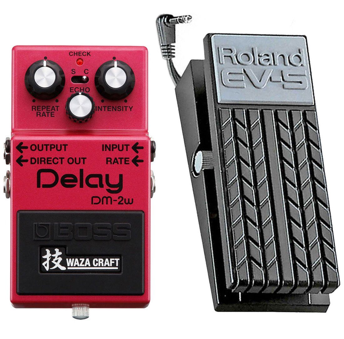 Boss by Roland E-Gitarre DM-2w Delay Waza mit EV-5 Expression Pedal