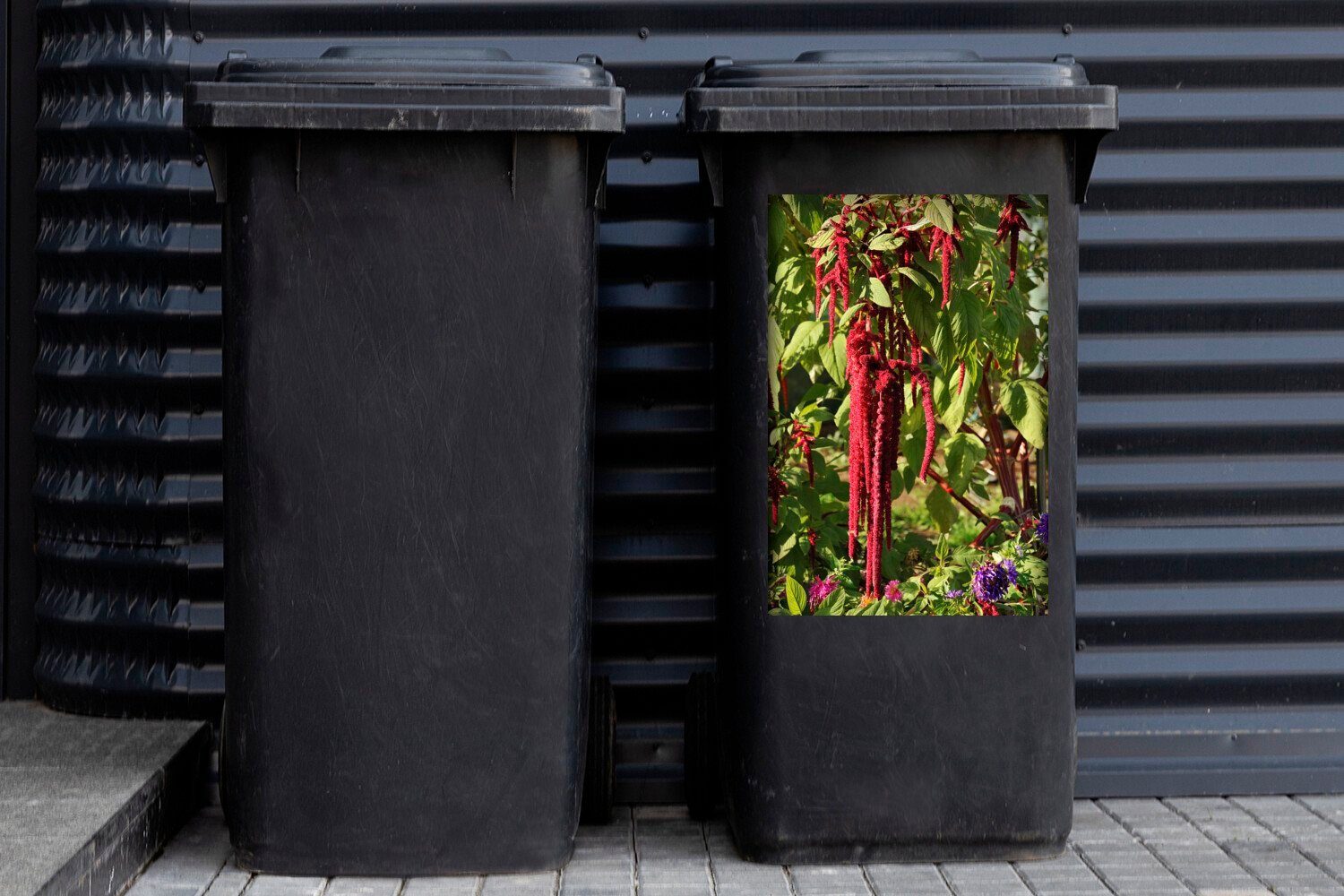 Abfalbehälter mit während den Mülltonne, der (1 Farben Container, St), Wandsticker der in Mülleimer-aufkleber, Sticker, MuchoWow Amaranth-Pflanze roten Natur