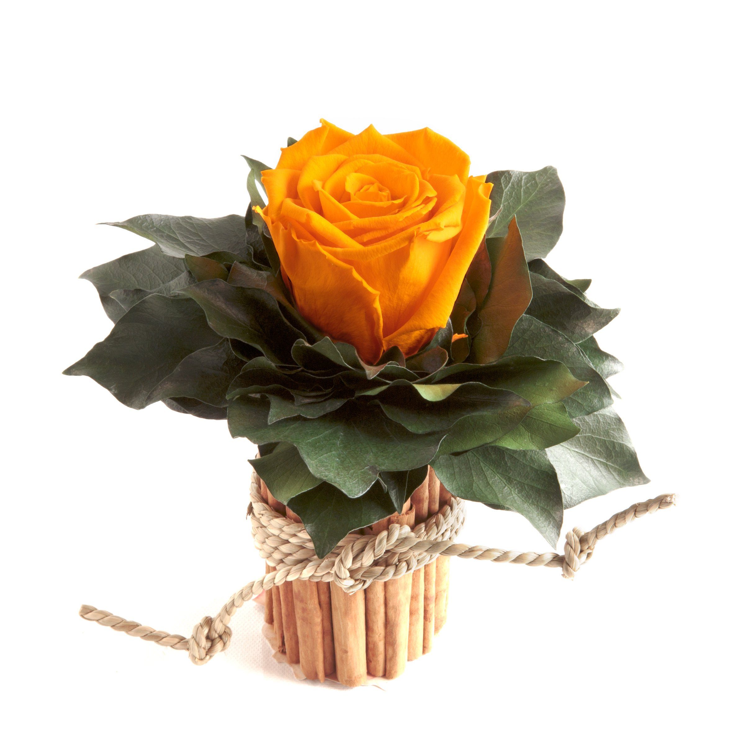 Kunstblumenstrauß Blumenstrauß Zimtbecher Infinity Rosen Blumengesteck, ROSEMARIE SCHULZ Heidelberg, Höhe 15 cm, Infinity Rosen, Made in Germany