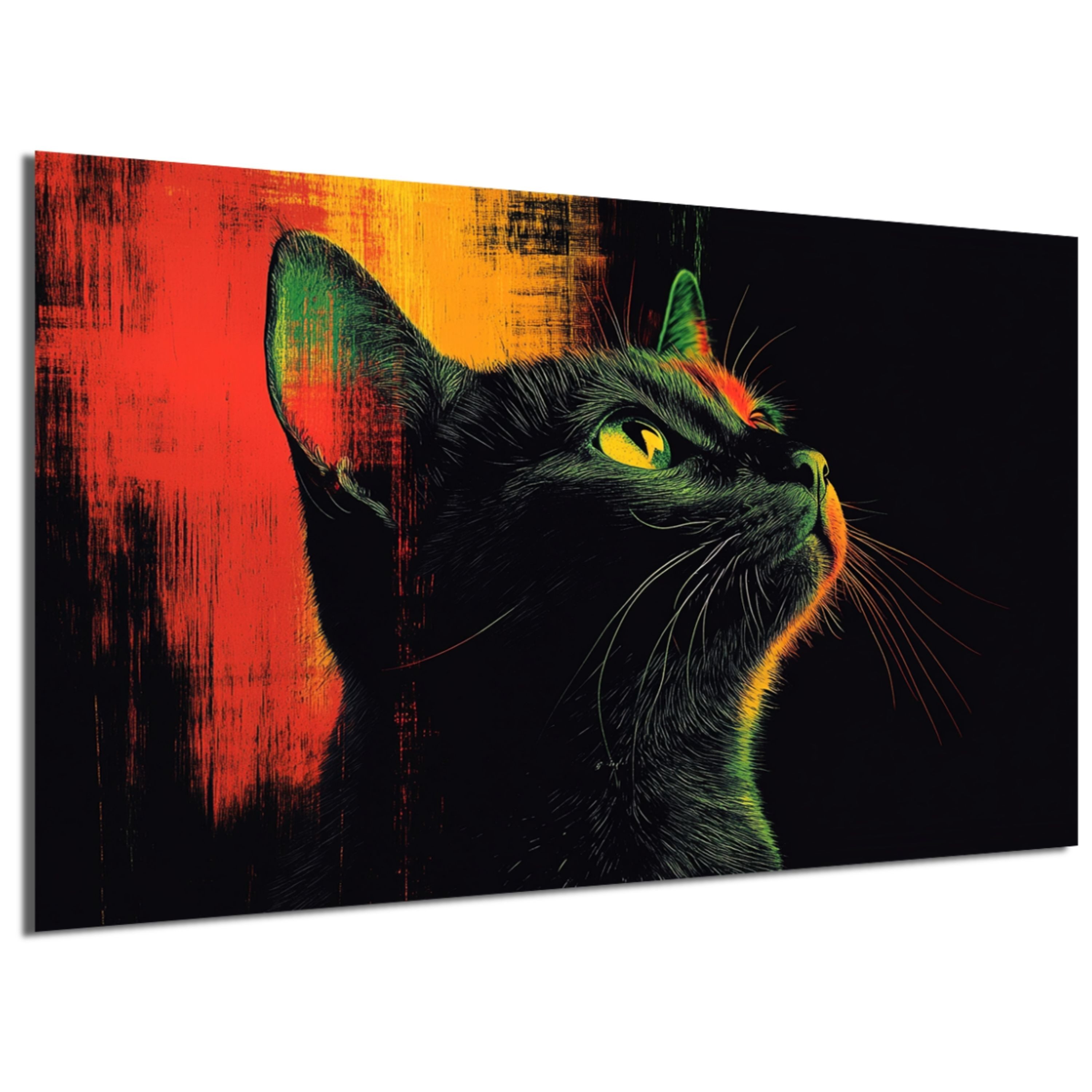 Katze