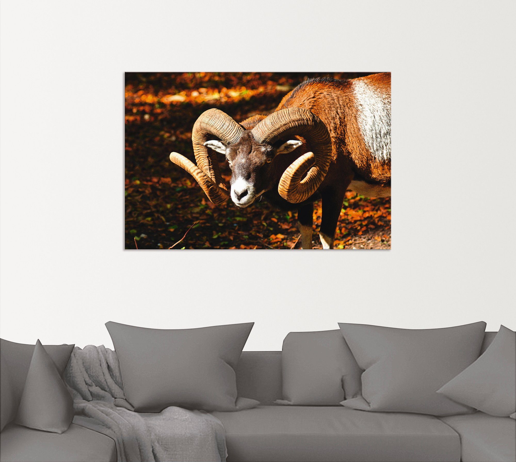 Alubild, (1 versch. Mufflon, Leinwandbild, Wandbild oder Artland Wandaufkleber Wildtiere als Poster Größen in St),