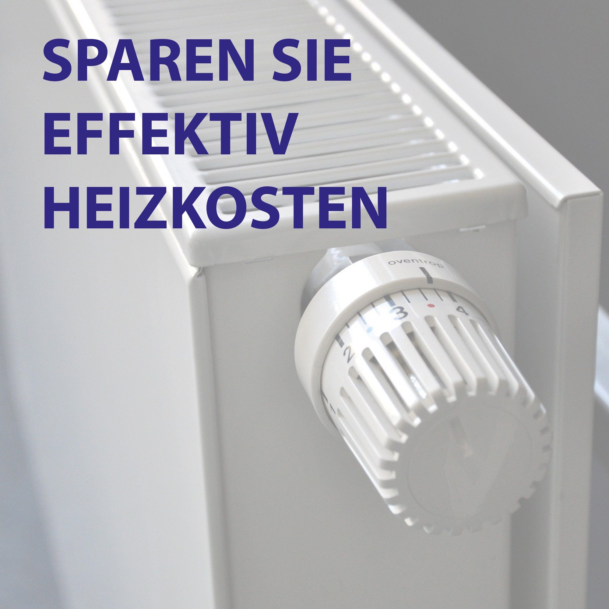 Bestlivings Steckschlüssel Heizkörper-Entlüftungsschlüssel (4 St), Heizungs günstig online kaufen