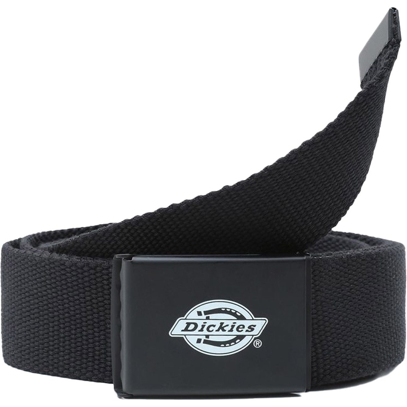 Dickies Stretchgürtel ORCUTT WEBBING BELT ORCUTT WEBBING BELT
